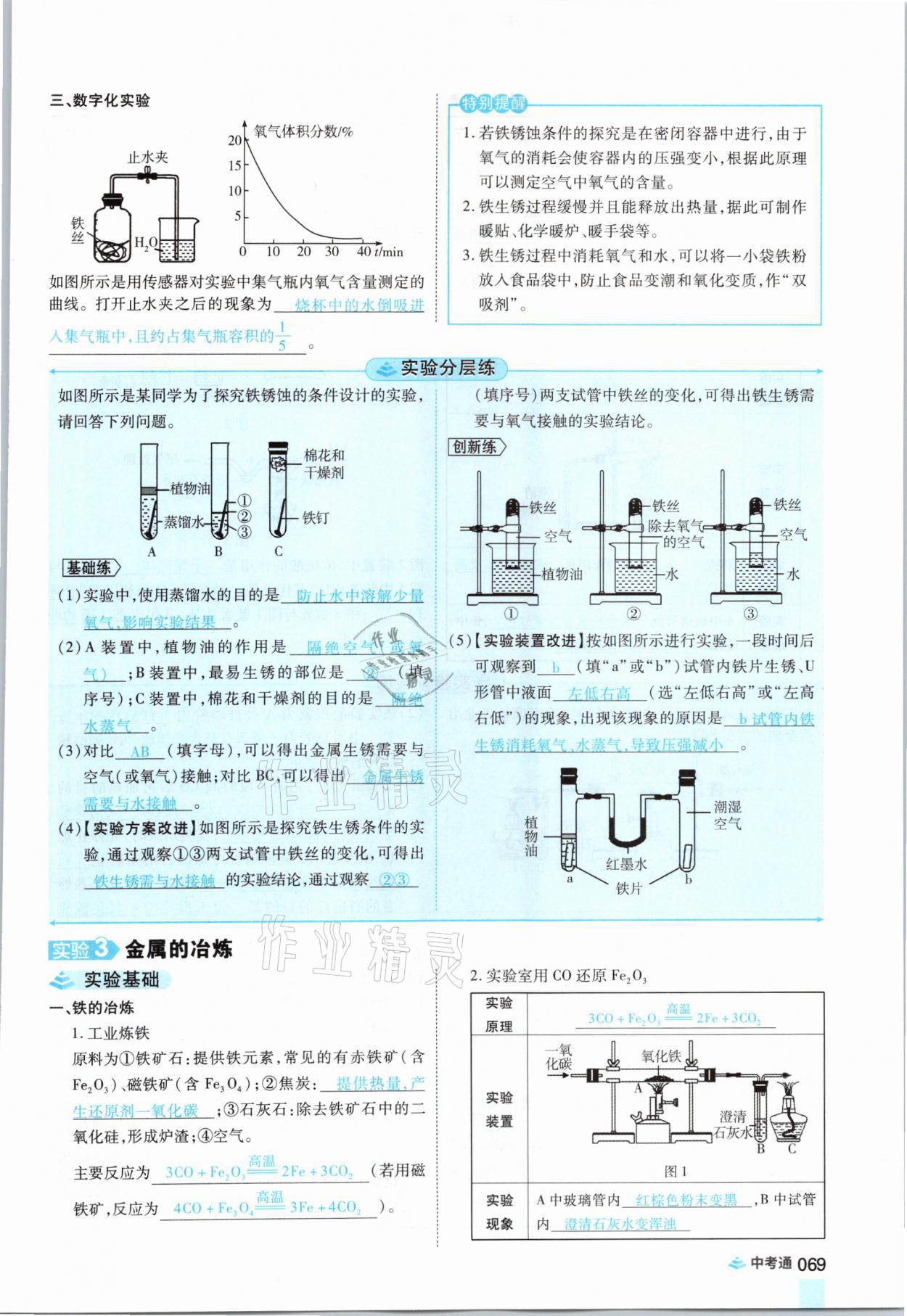 2021年中考通化學河南專版鄭州大學出版社 參考答案第69頁