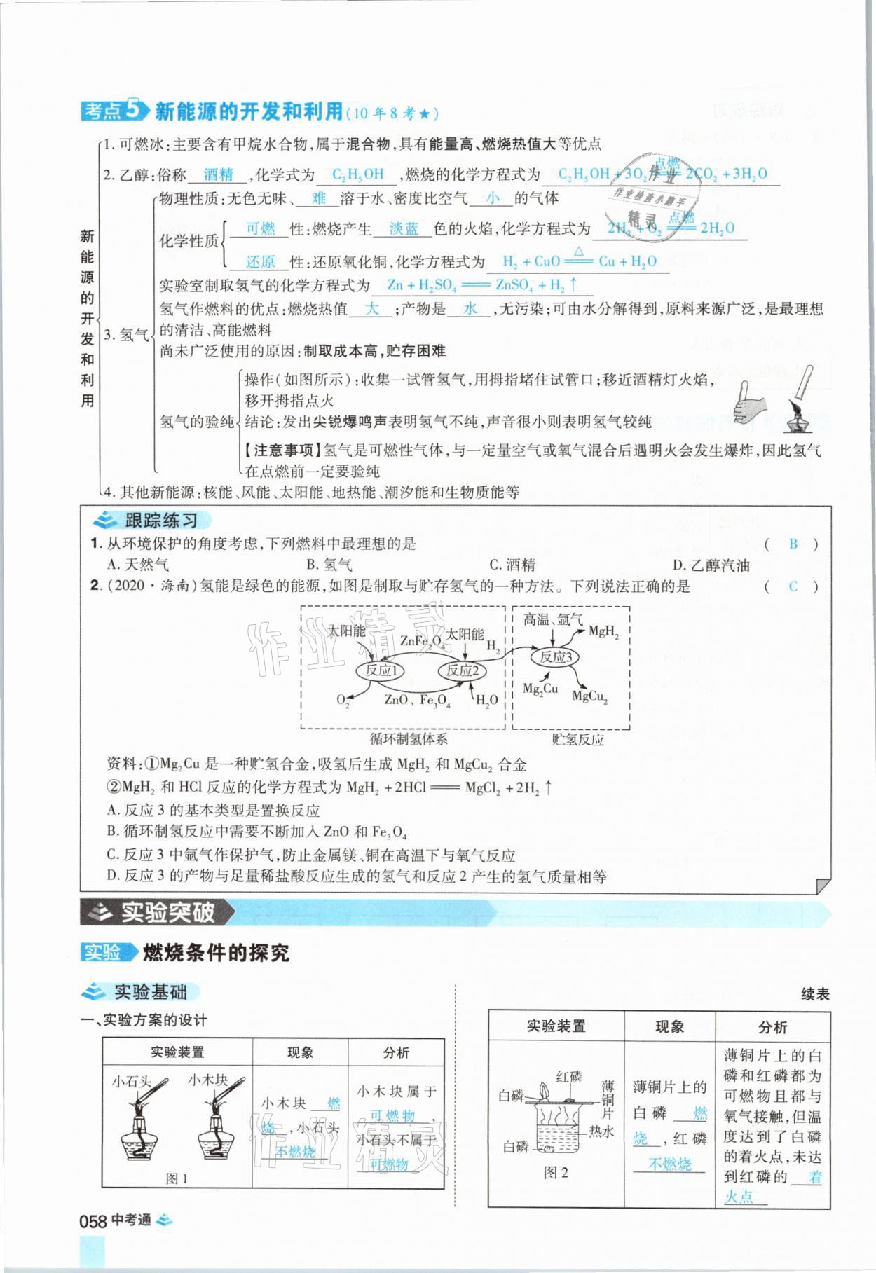 2021年中考通化學河南專版鄭州大學出版社 參考答案第58頁