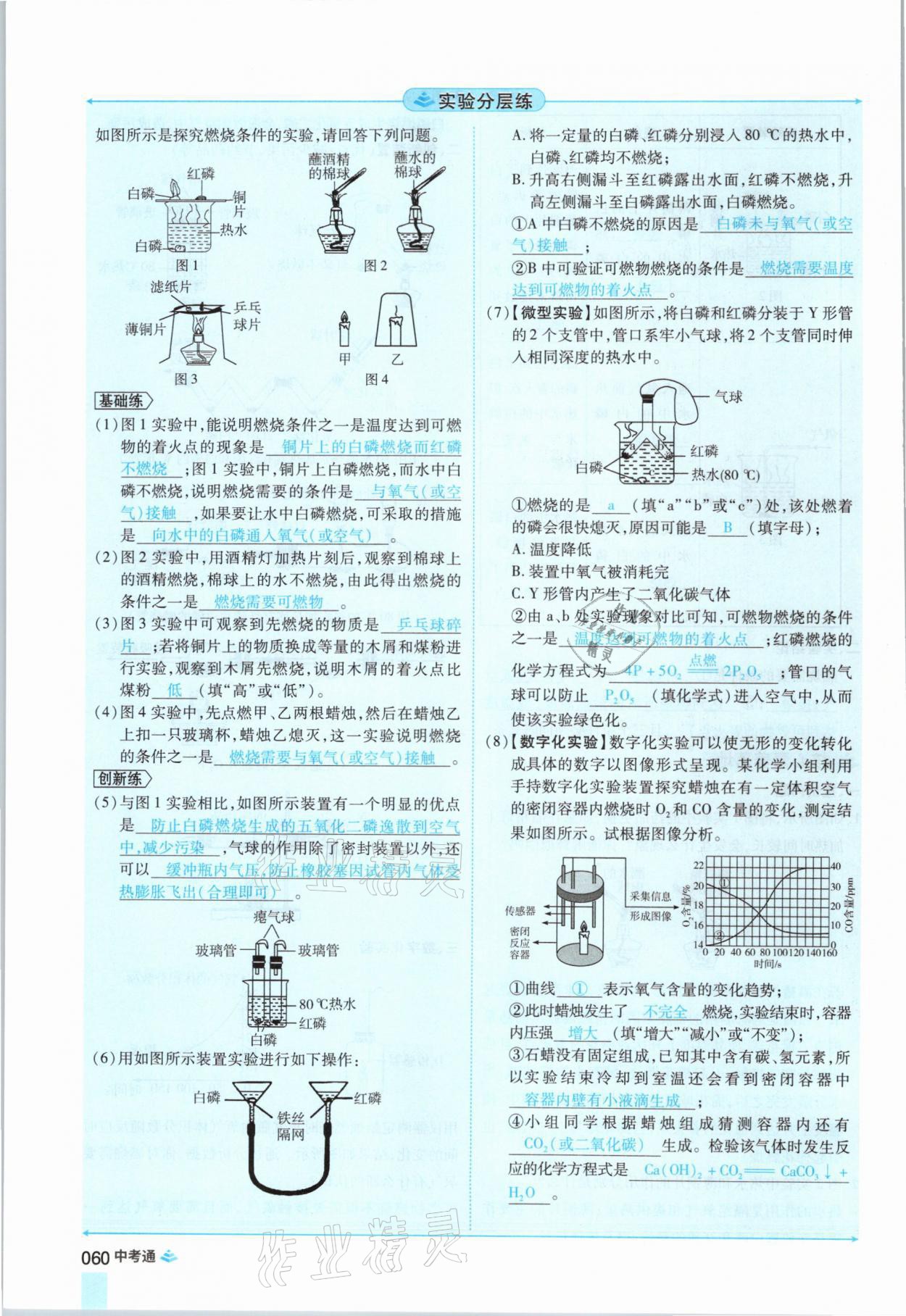 2021年中考通化學河南專版鄭州大學出版社 參考答案第60頁