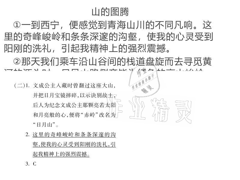 2020年世超金典育文乐园六年级上册人教版双色版 参考答案第4页