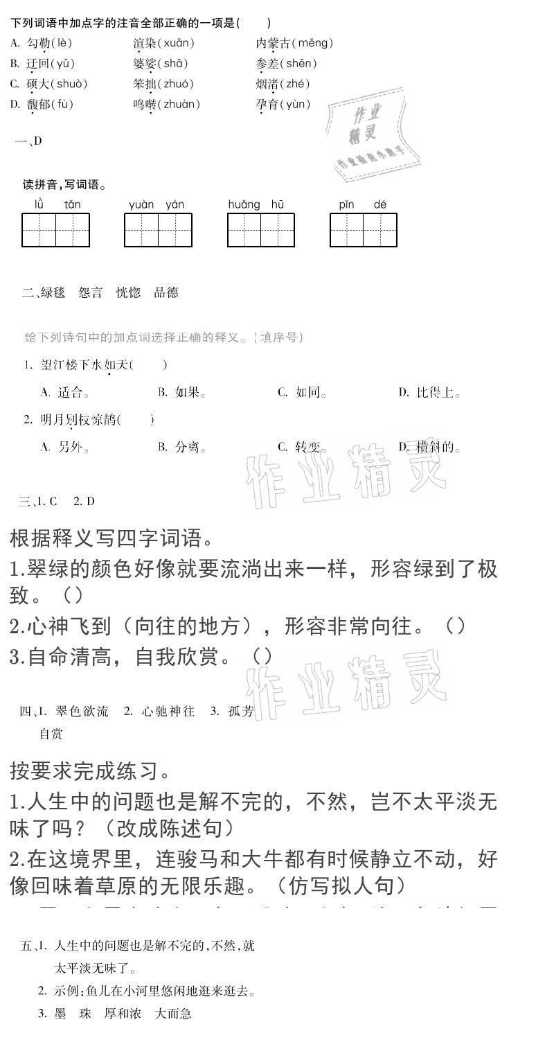 2020年世超金典育文乐园六年级上册人教版双色版 参考答案第5页