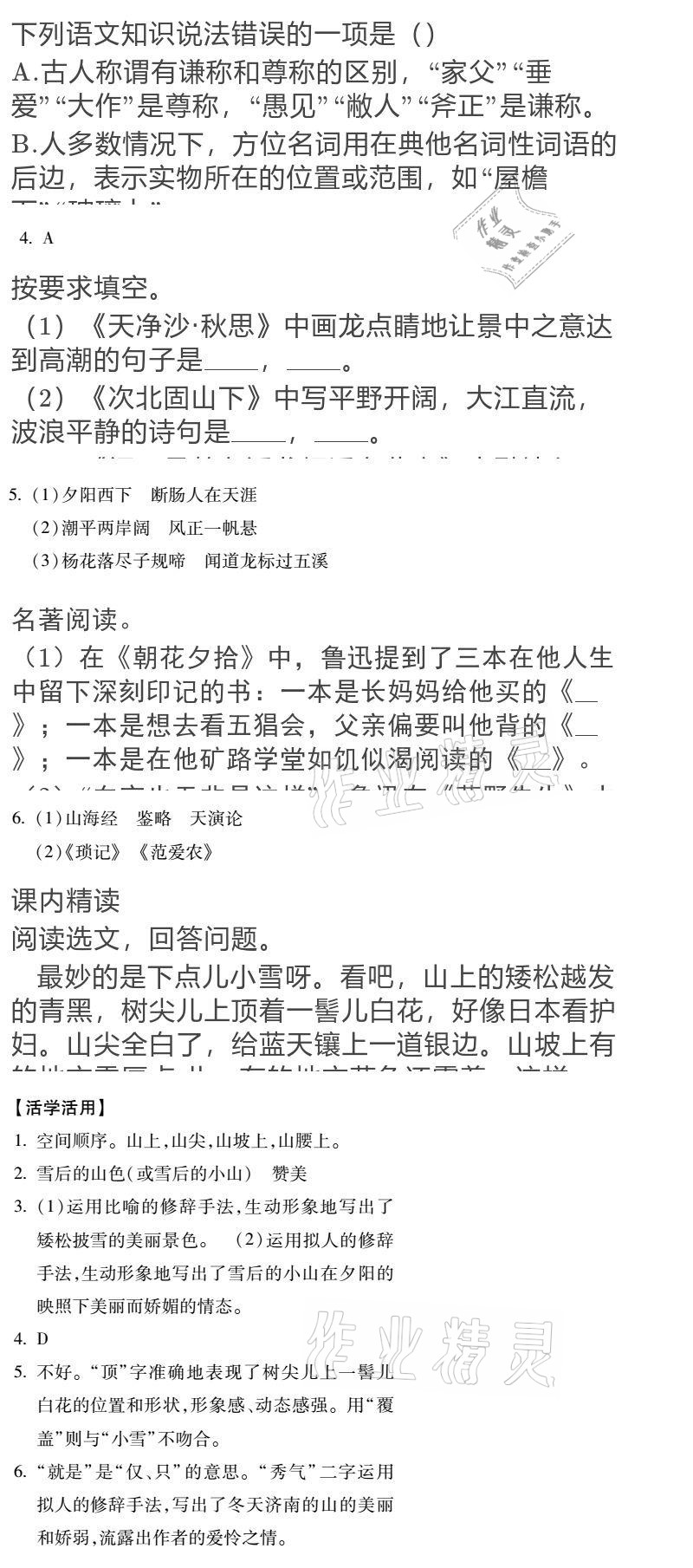 2020年世超金典育文乐园七年级语文上册人教版双色版 参考答案第5页