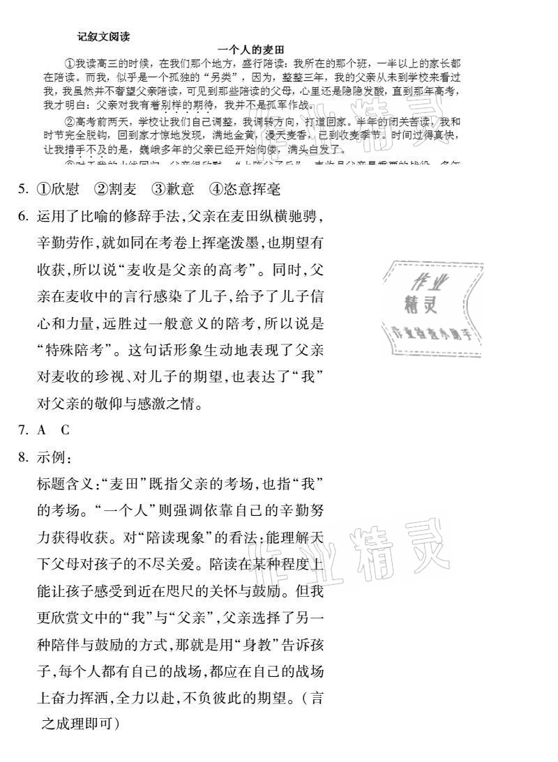 2020年世超金典育文乐园七年级语文上册人教版双色版 参考答案第8页