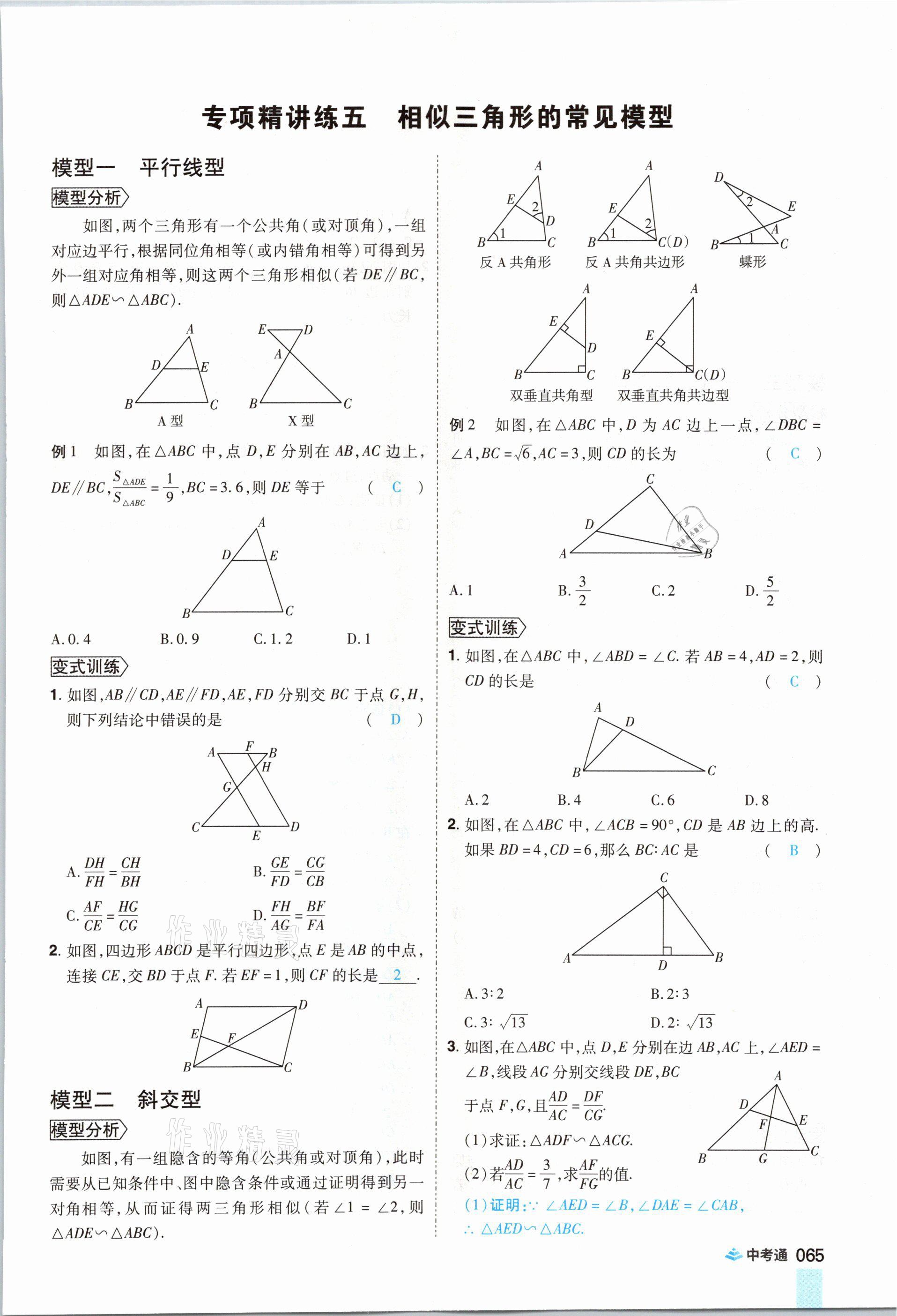 2021年中考通數(shù)學(xué)河南專版鄭州大學(xué)出版社 參考答案第77頁