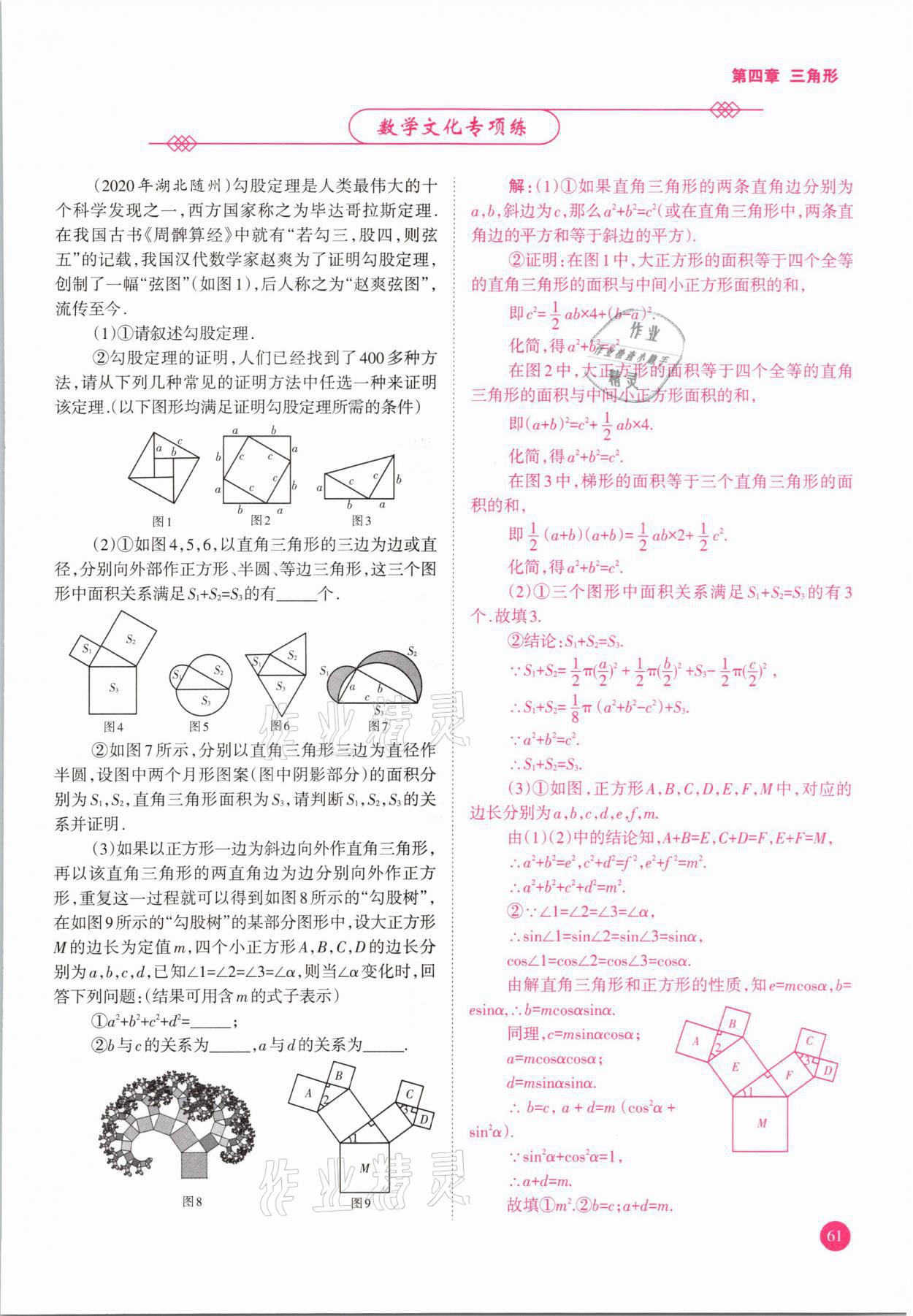 2021年中學(xué)生學(xué)習(xí)報(bào)試題與研究數(shù)學(xué)河南專(zhuān)版 參考答案第61頁(yè)