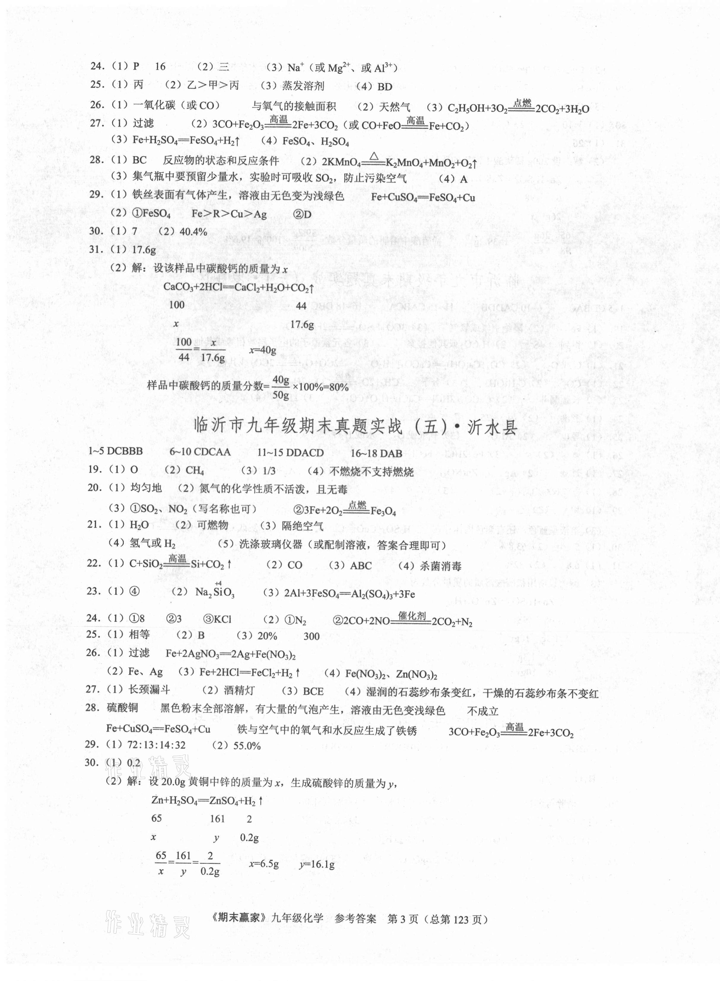 2020年期末赢家九年级化学人教版临沂专用 第3页