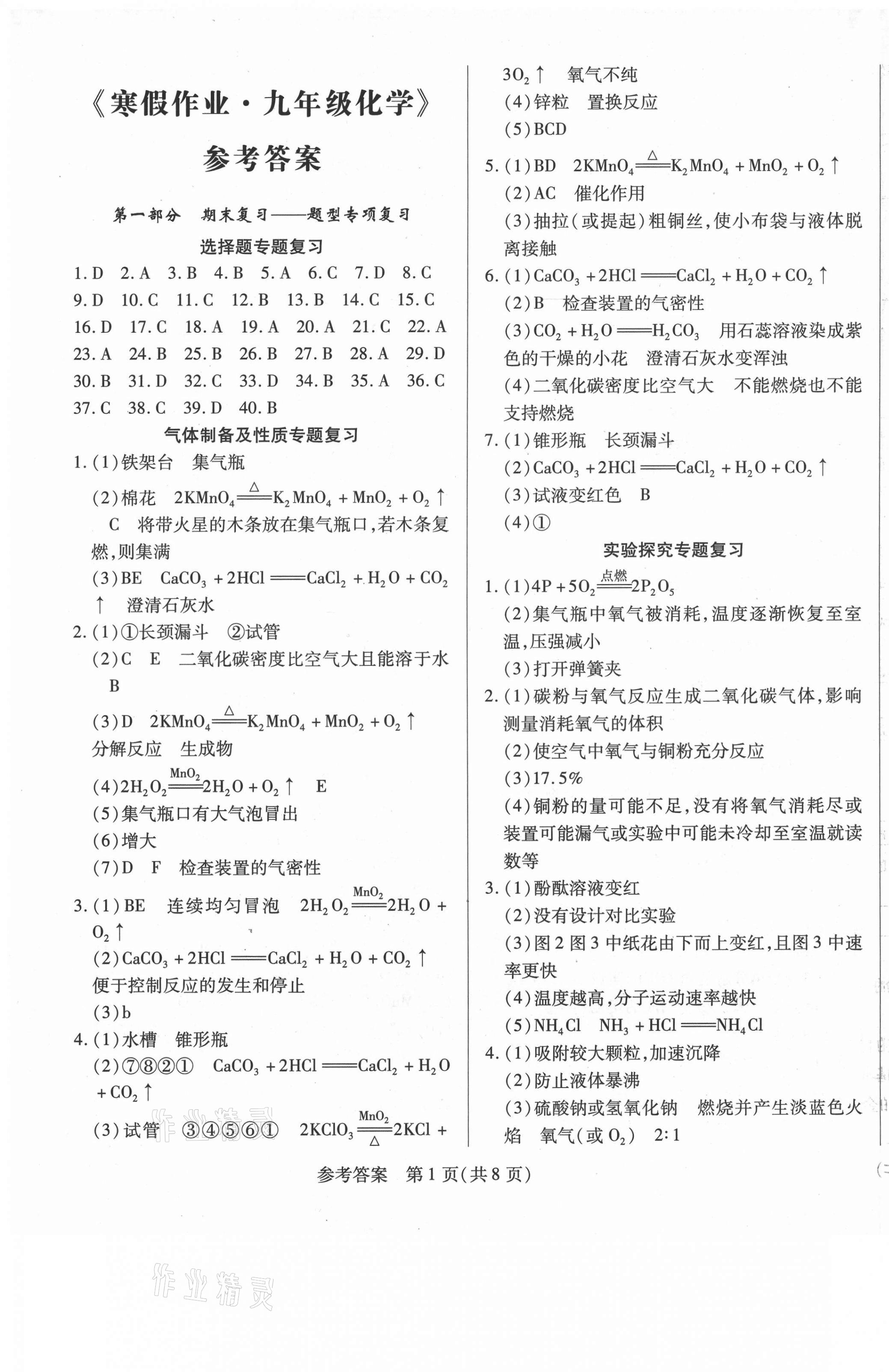 2021年名师导航寒假作业化学深圳专版 第1页