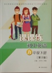 2021年課課練初中英語(yǔ)九年級(jí)下冊(cè)譯林版