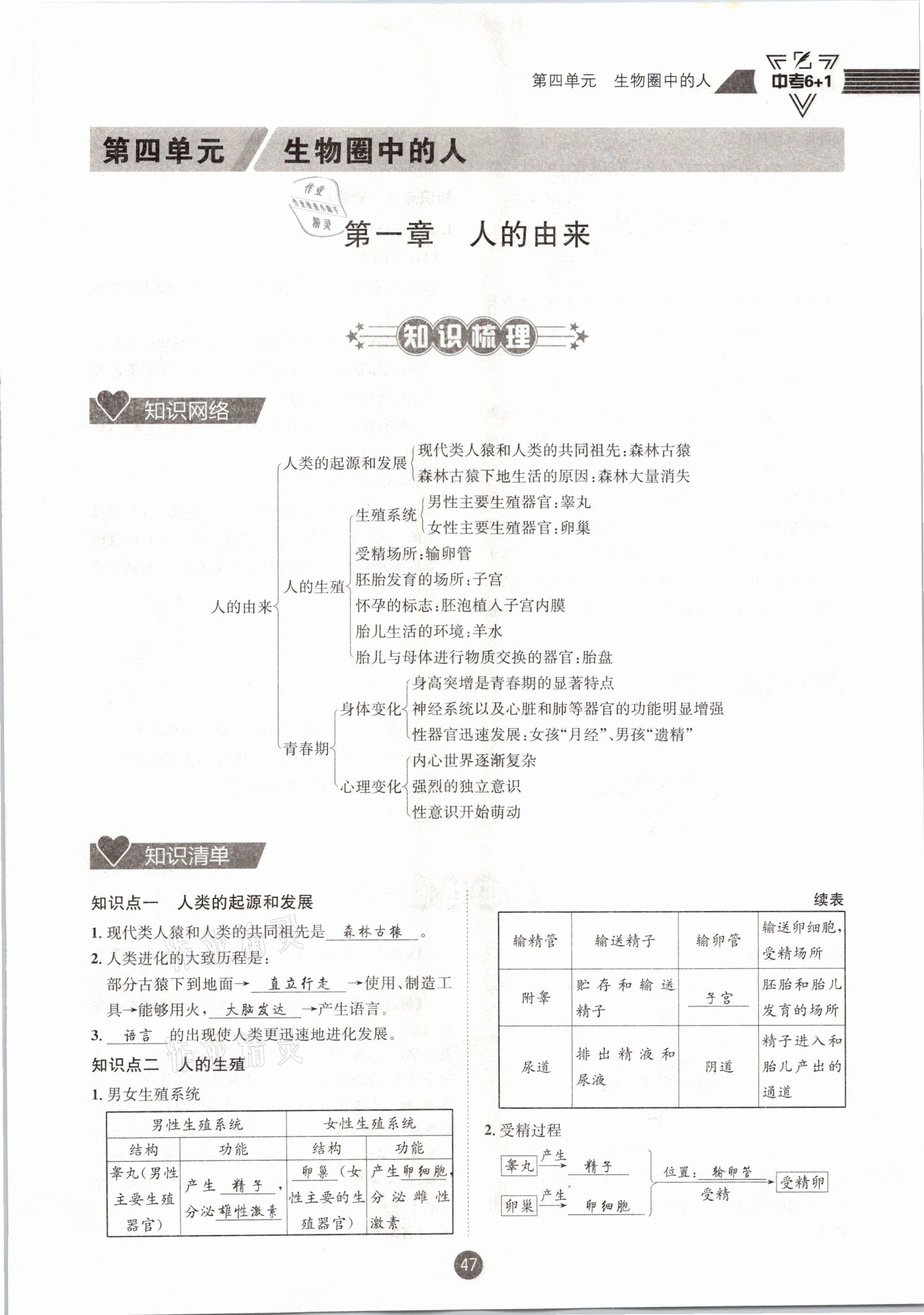 2021年中考6加1生物人教版達州專版 第47頁