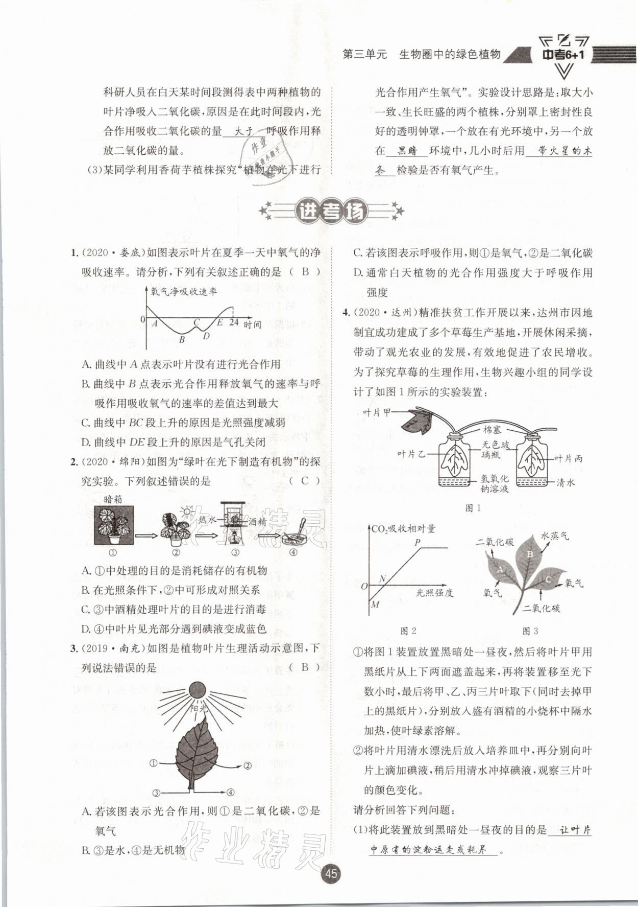 2021年中考6加1生物人教版達(dá)州專版 第45頁