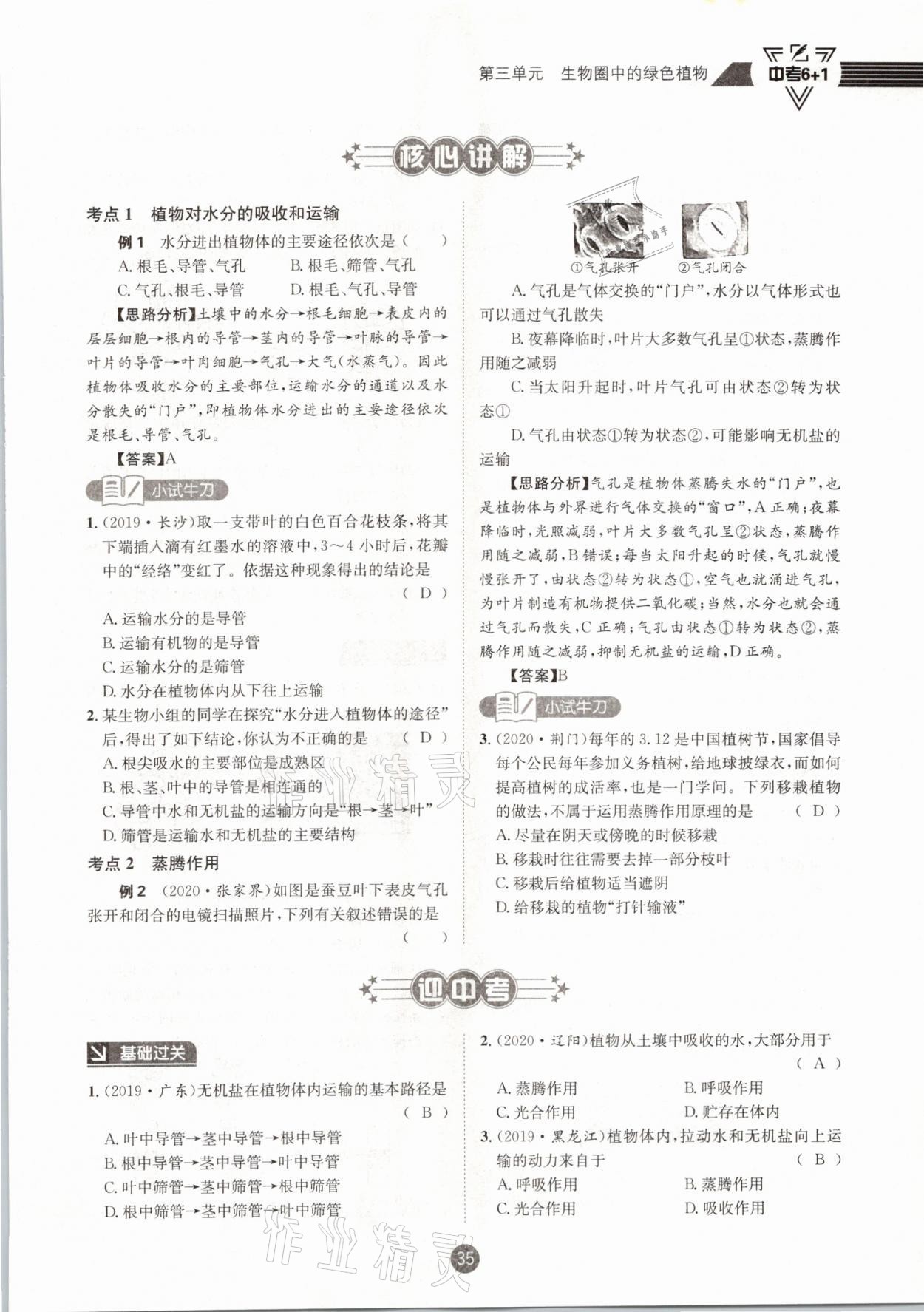 2021年中考6加1生物人教版達州專版 第35頁