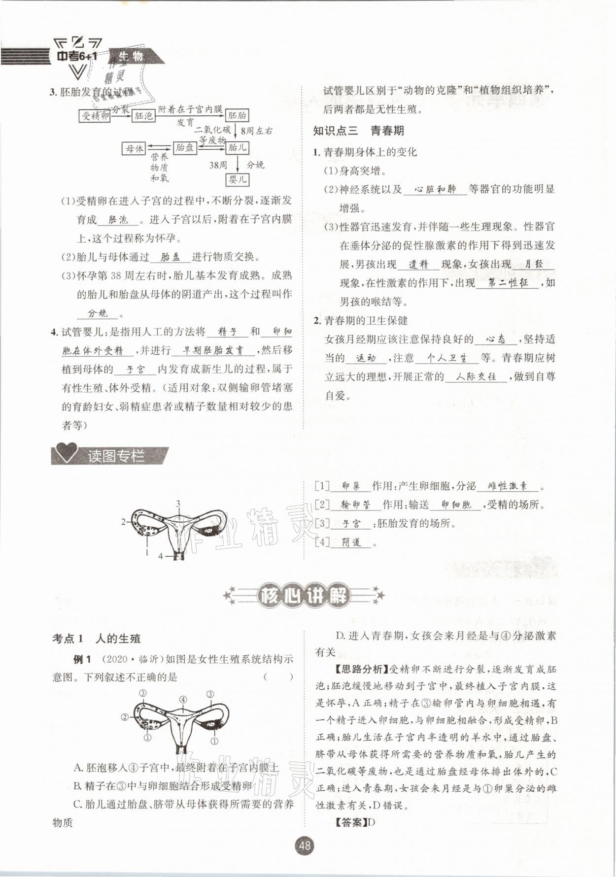 2021年中考6加1生物人教版達(dá)州專版 第48頁