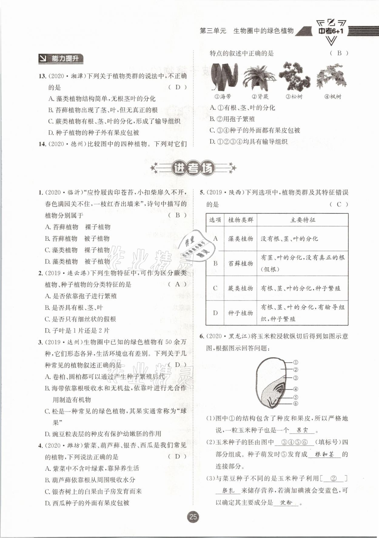 2021年中考6加1生物人教版達州專版 第25頁