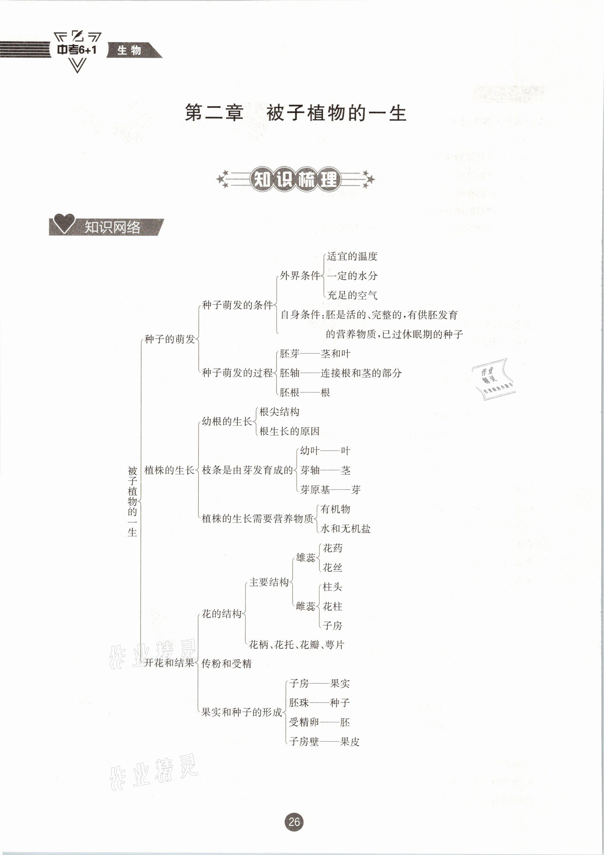 2021年中考6加1生物人教版達(dá)州專版 第26頁