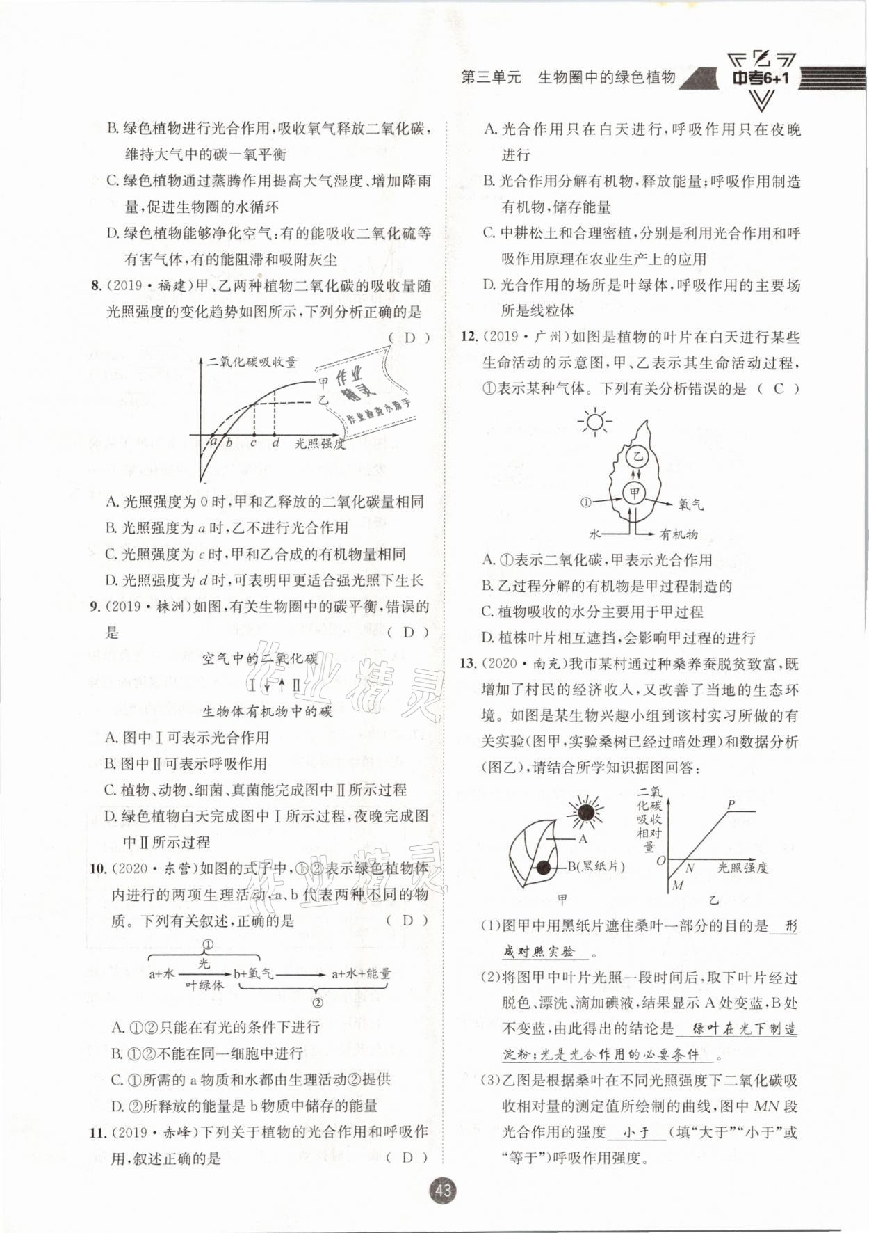 2021年中考6加1生物人教版達(dá)州專版 第43頁