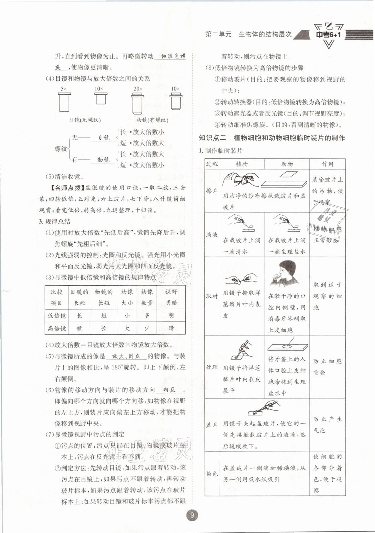 2021年中考6加1生物人教版達(dá)州專版 第9頁(yè)