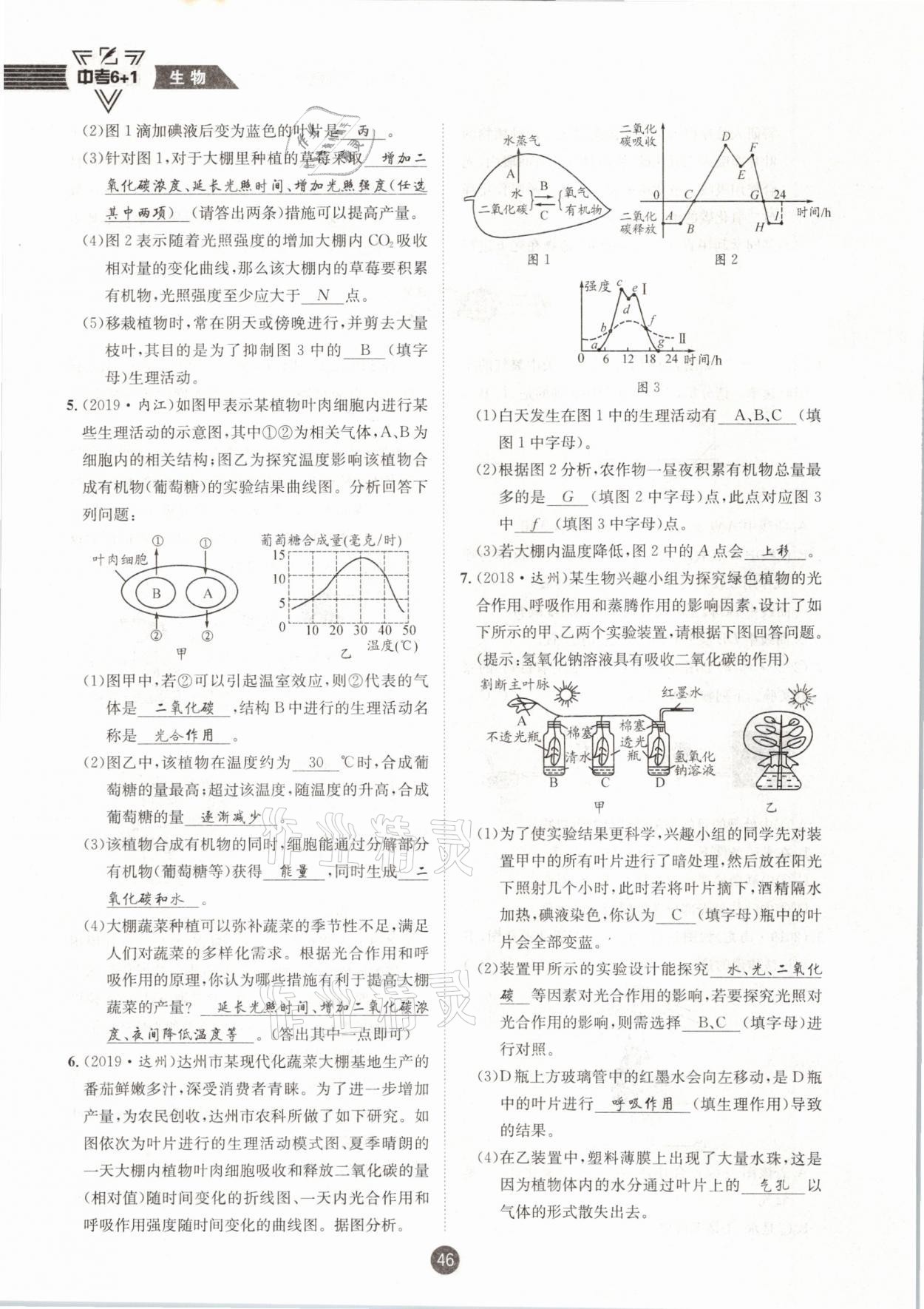 2021年中考6加1生物人教版達(dá)州專版 第46頁