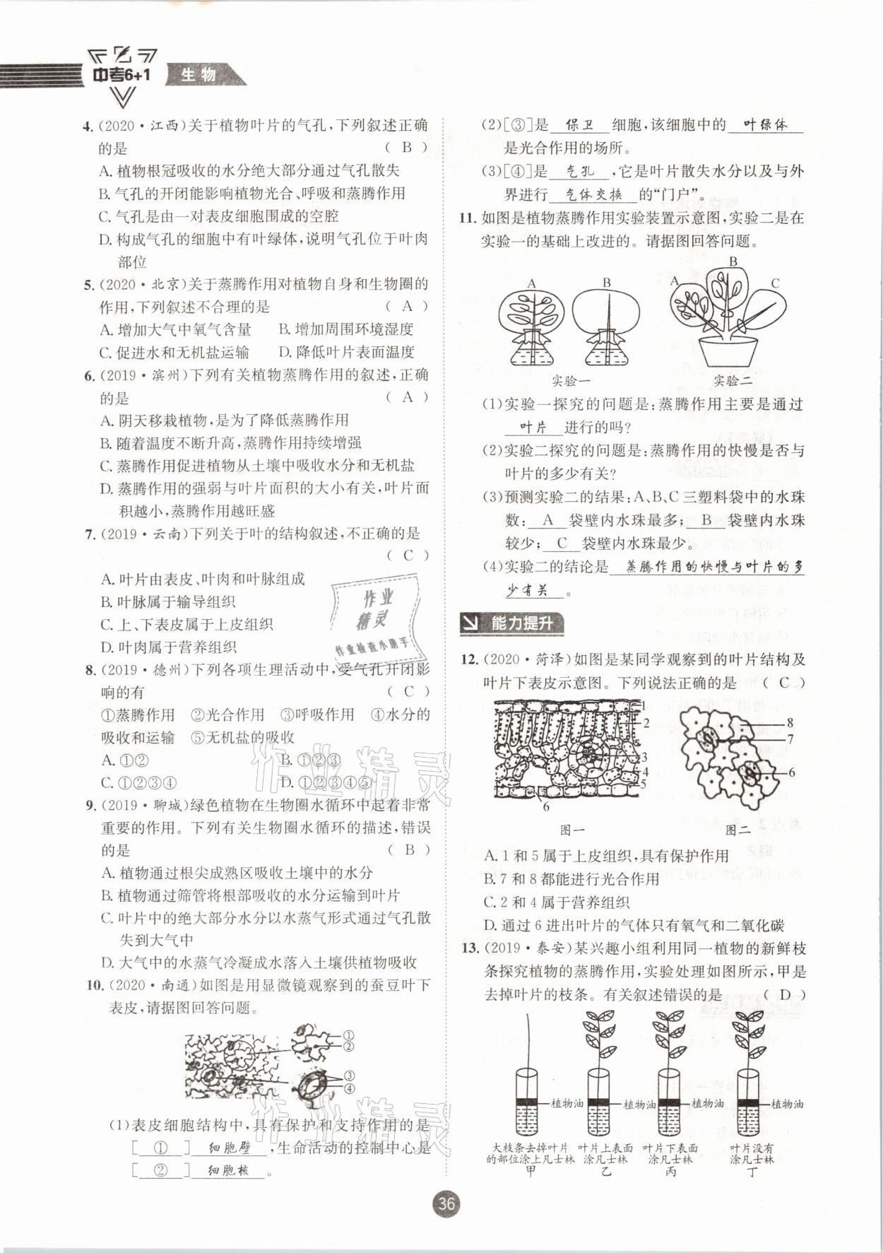 2021年中考6加1生物人教版達州專版 第36頁