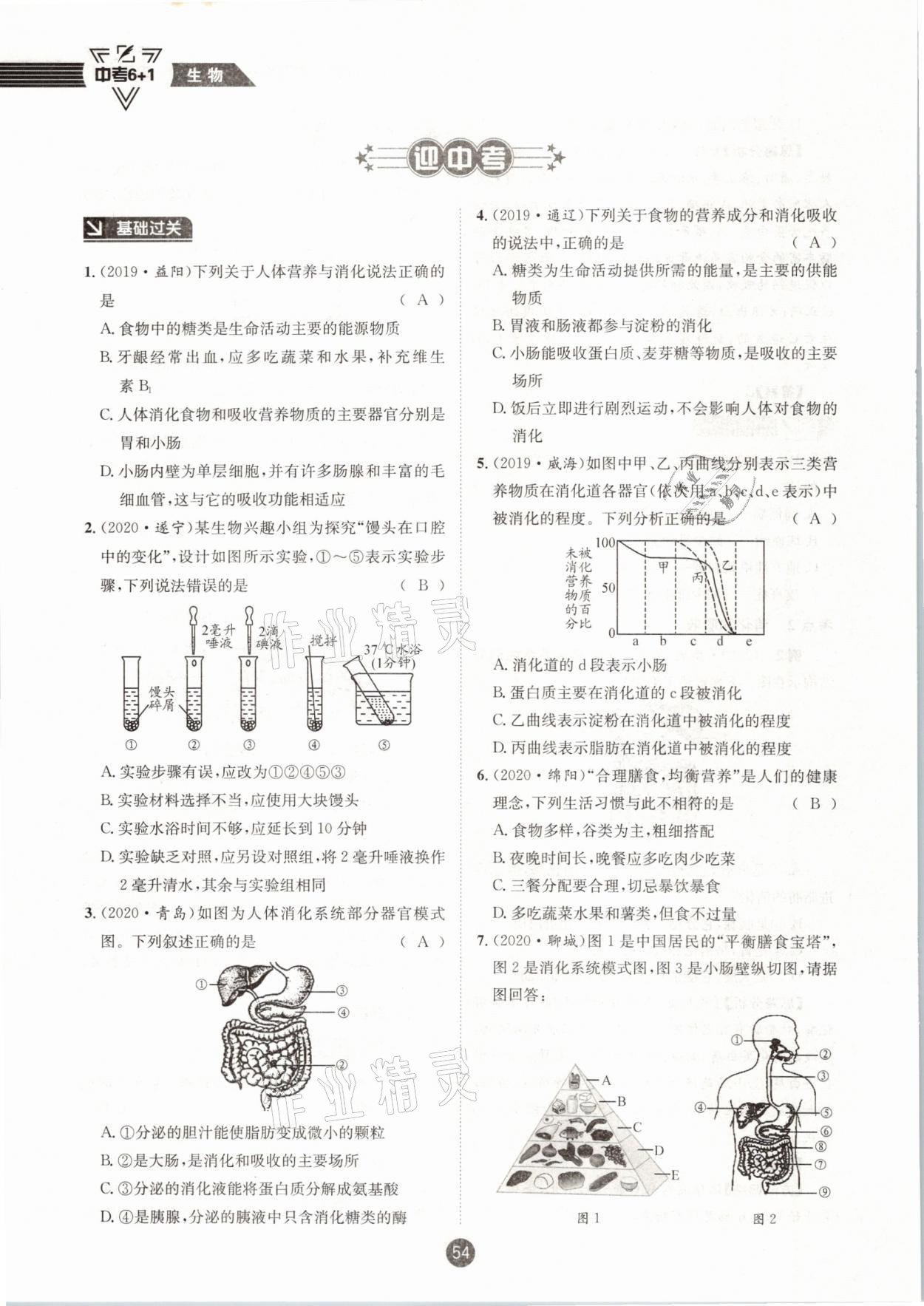 2021年中考6加1生物人教版達州專版 第54頁