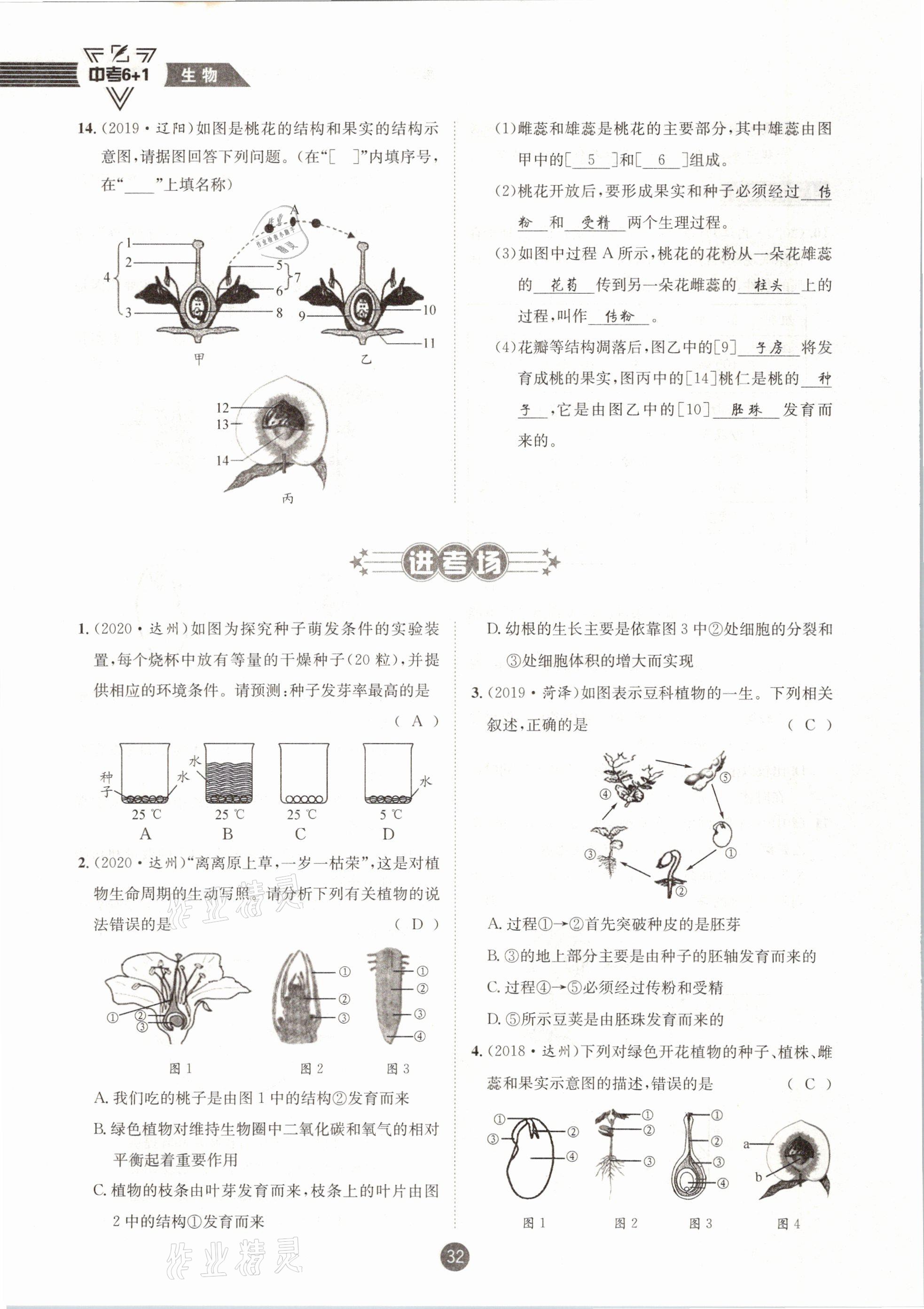 2021年中考6加1生物人教版達(dá)州專版 第32頁(yè)