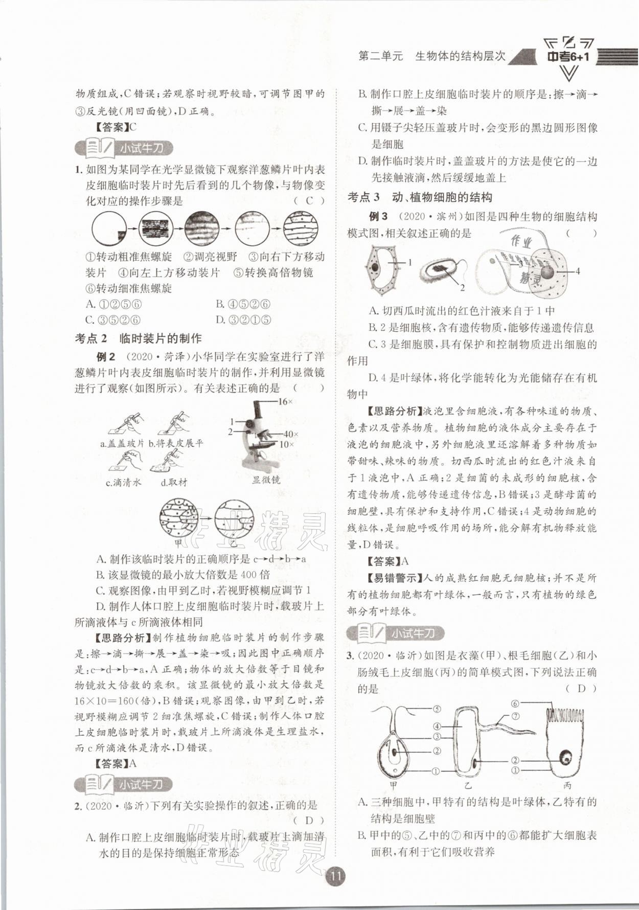 2021年中考6加1生物人教版達(dá)州專版 第11頁