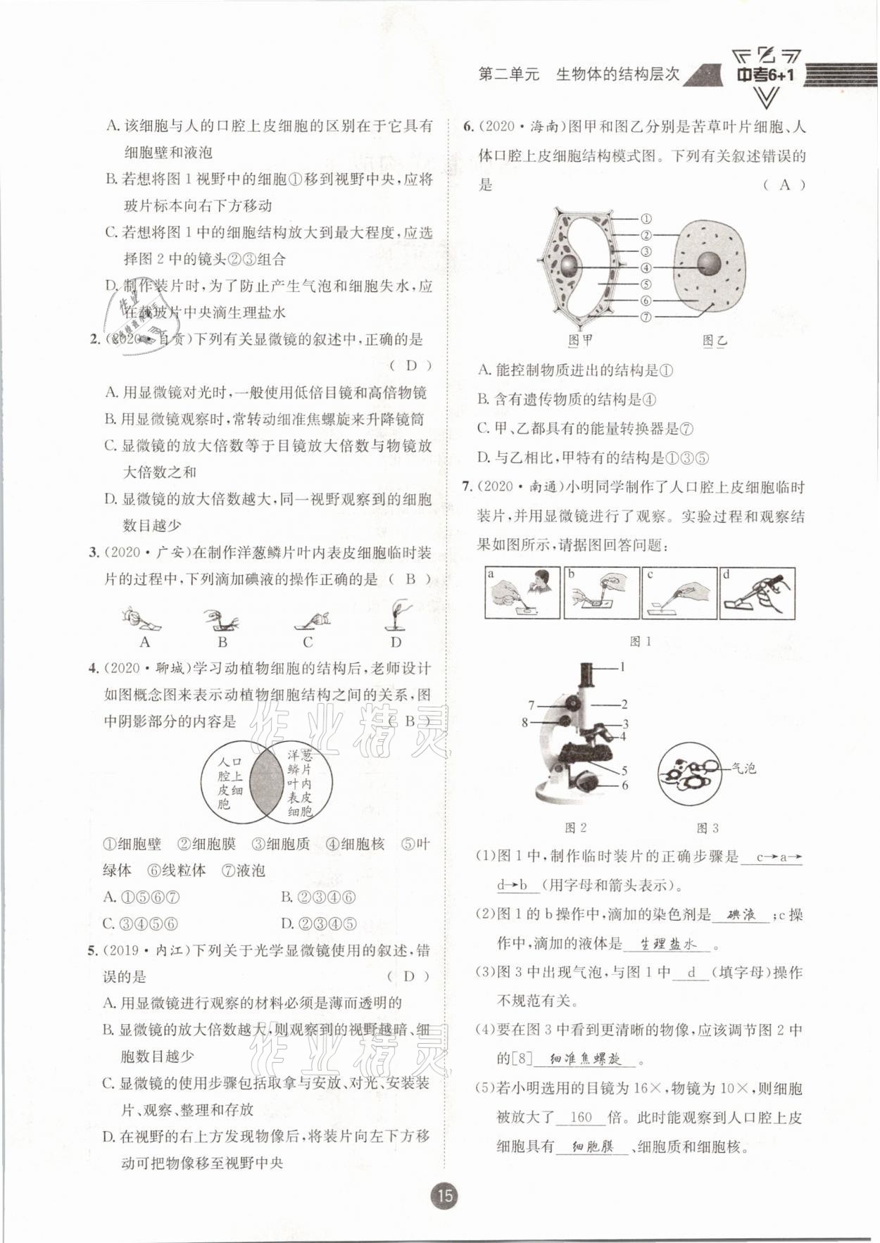 2021年中考6加1生物人教版達(dá)州專版 第15頁