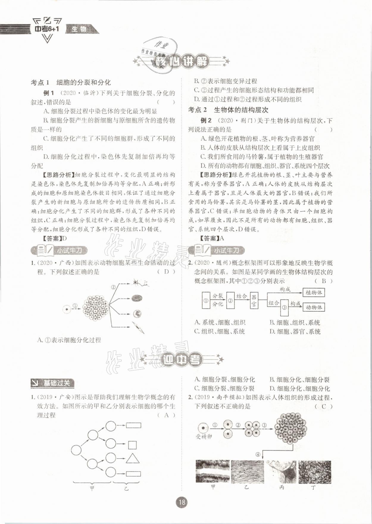 2021年中考6加1生物人教版達州專版 第18頁