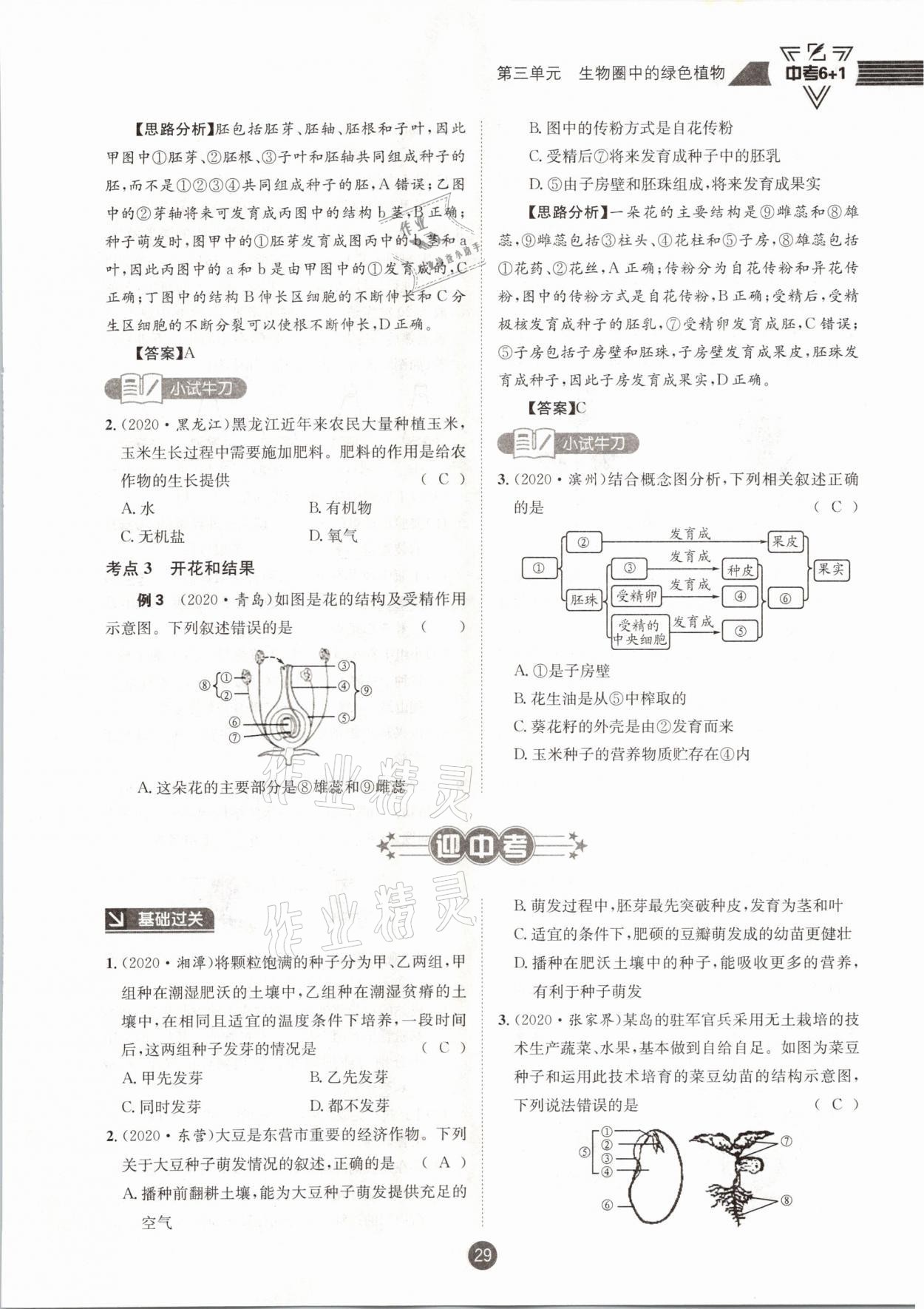 2021年中考6加1生物人教版達(dá)州專版 第29頁(yè)