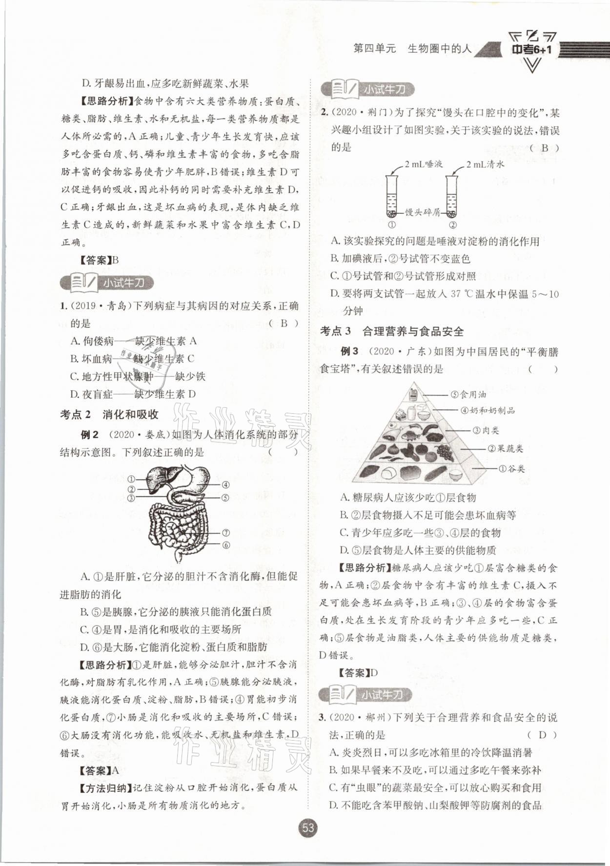 2021年中考6加1生物人教版達(dá)州專版 第53頁