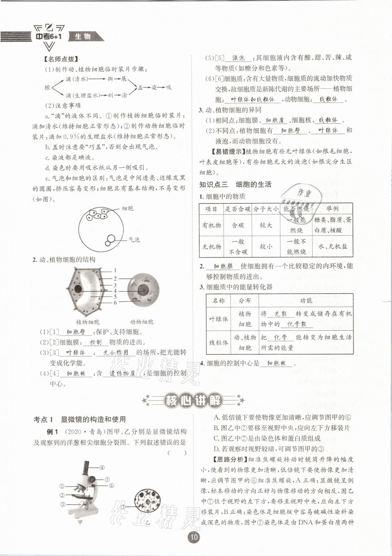 2021年中考6加1生物人教版達州專版 第10頁