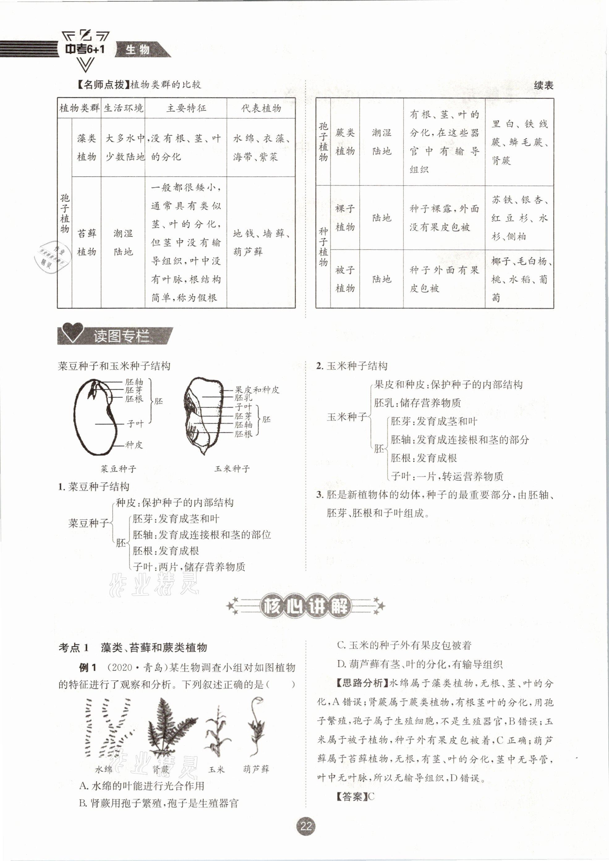 2021年中考6加1生物人教版達(dá)州專版 第22頁