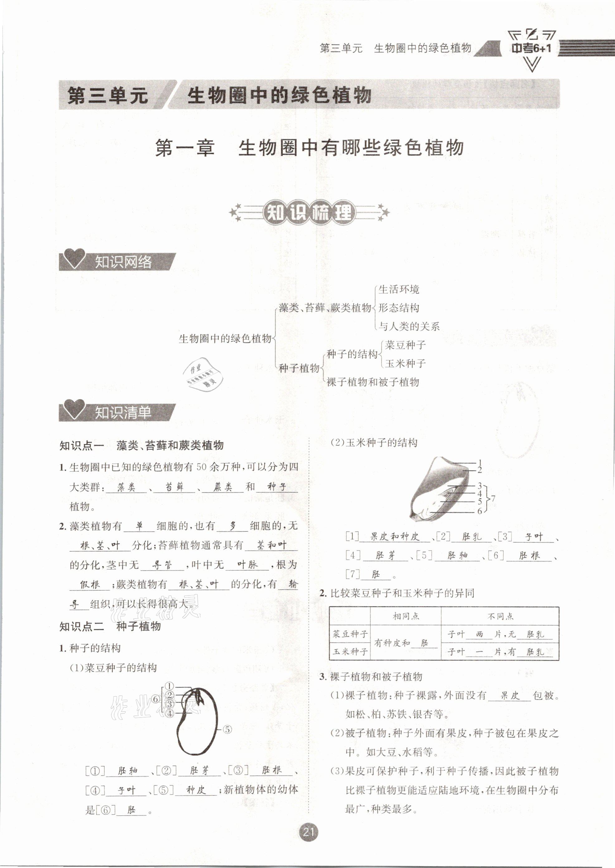 2021年中考6加1生物人教版達(dá)州專版 第21頁(yè)