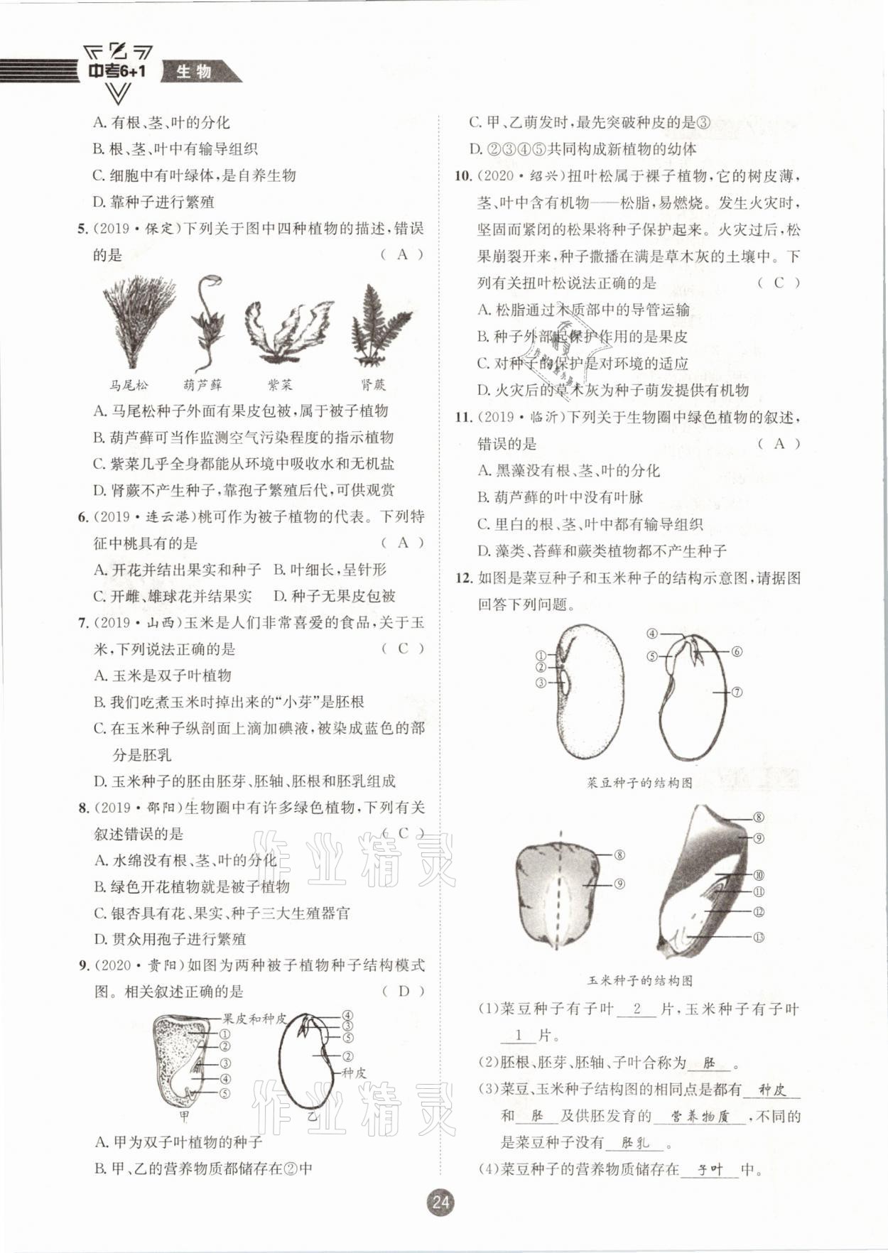 2021年中考6加1生物人教版達(dá)州專版 第24頁(yè)