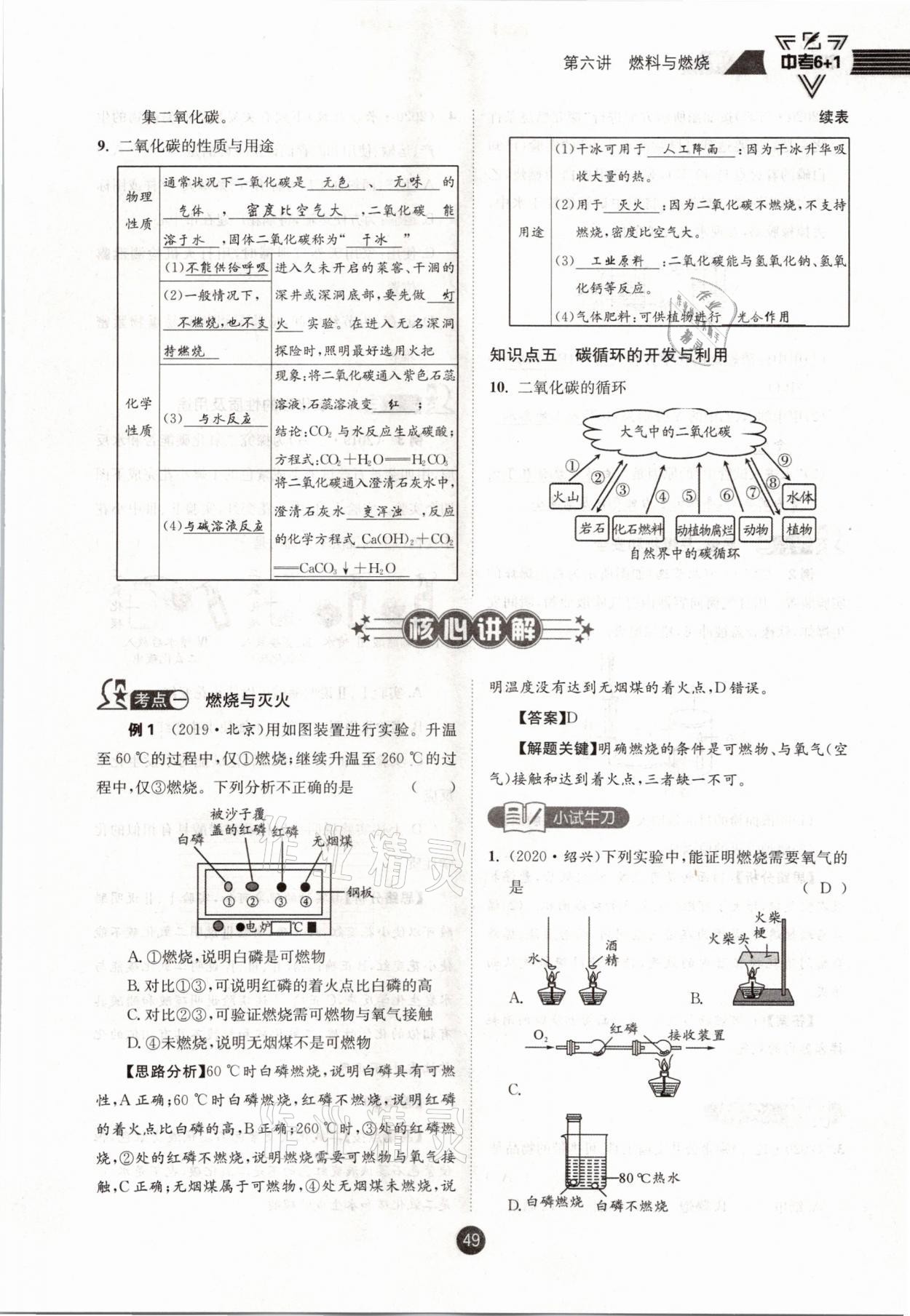 2021年中考6加1化學(xué)魯教版達州專版 參考答案第49頁