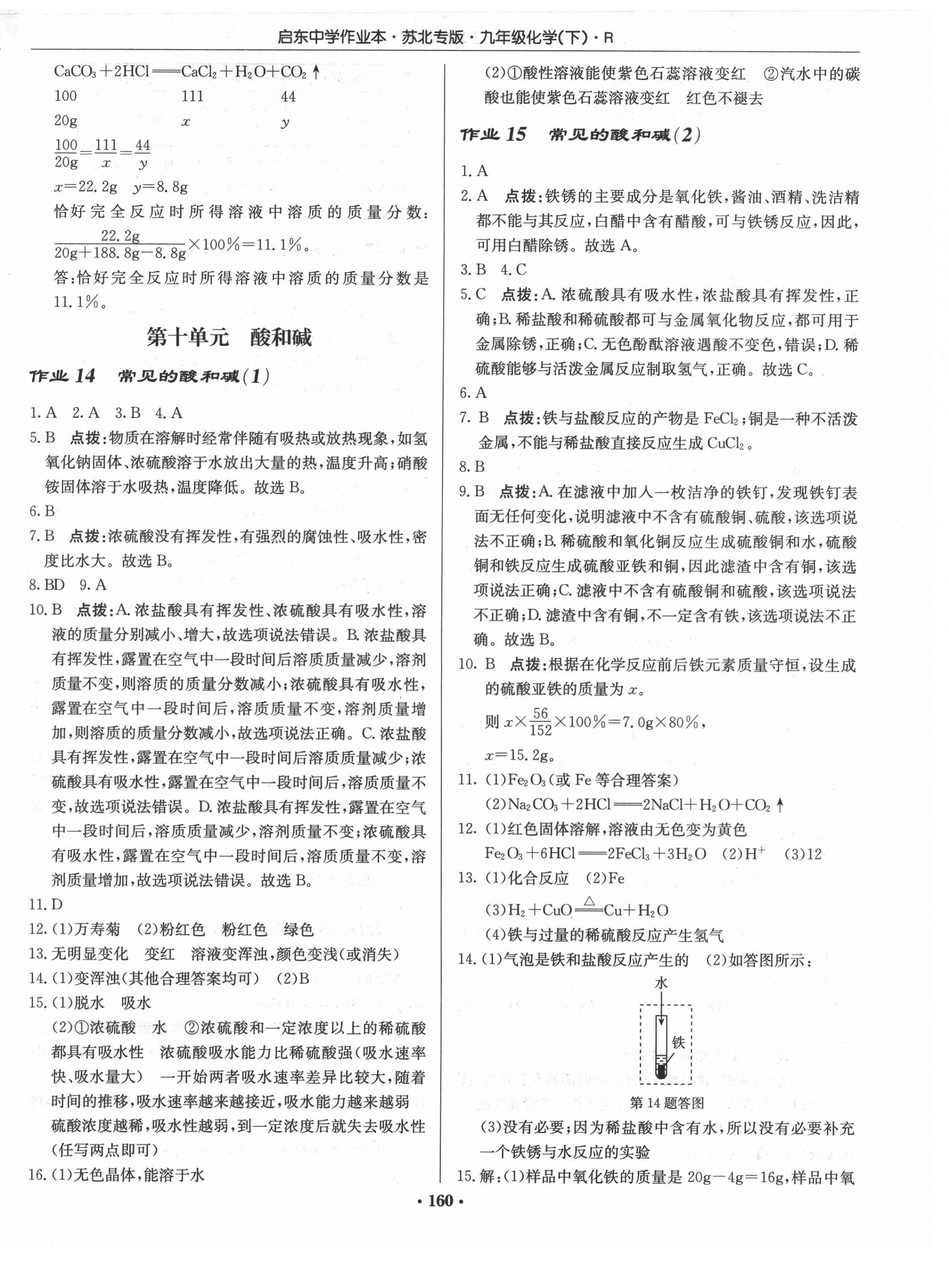 2021年啟東中學作業(yè)本九年級化學下冊人教版蘇北專版 第10頁