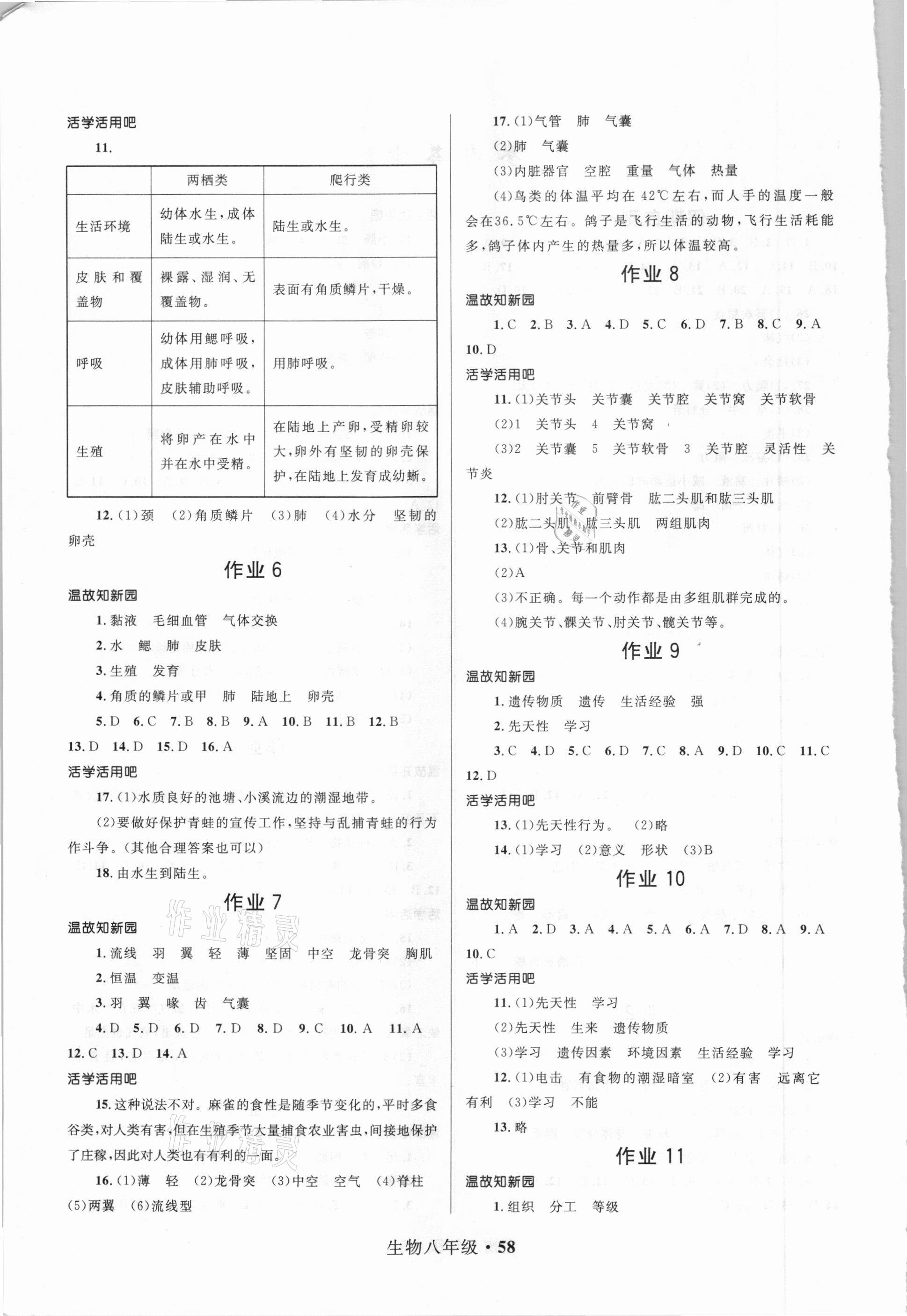 2021年赢在起跑线快乐寒假八年级生物人教版河北少年儿童出版社 第2页