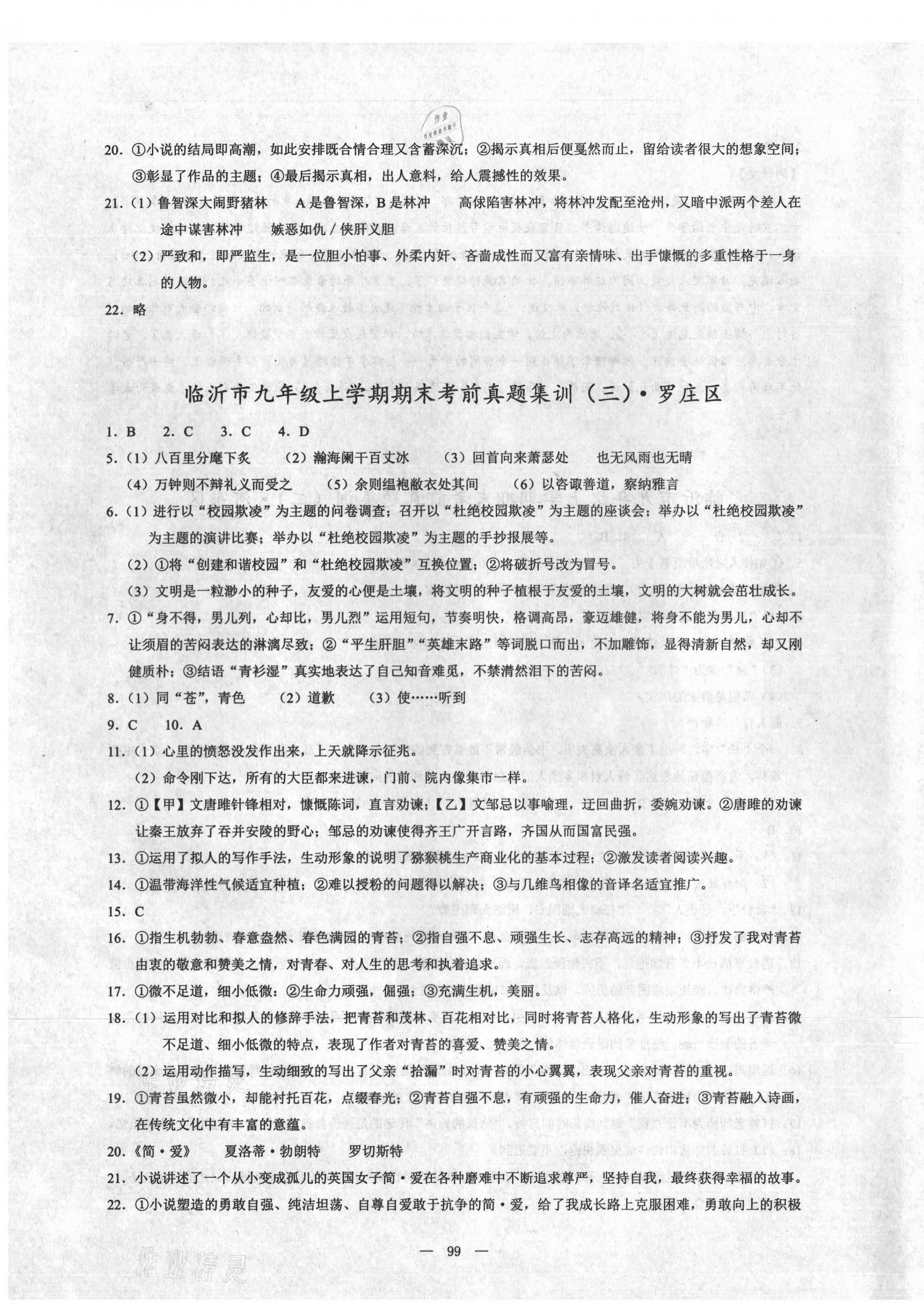 2020年期末奪冠九年級(jí)語(yǔ)文人教版臨沂專(zhuān)版 第3頁(yè)