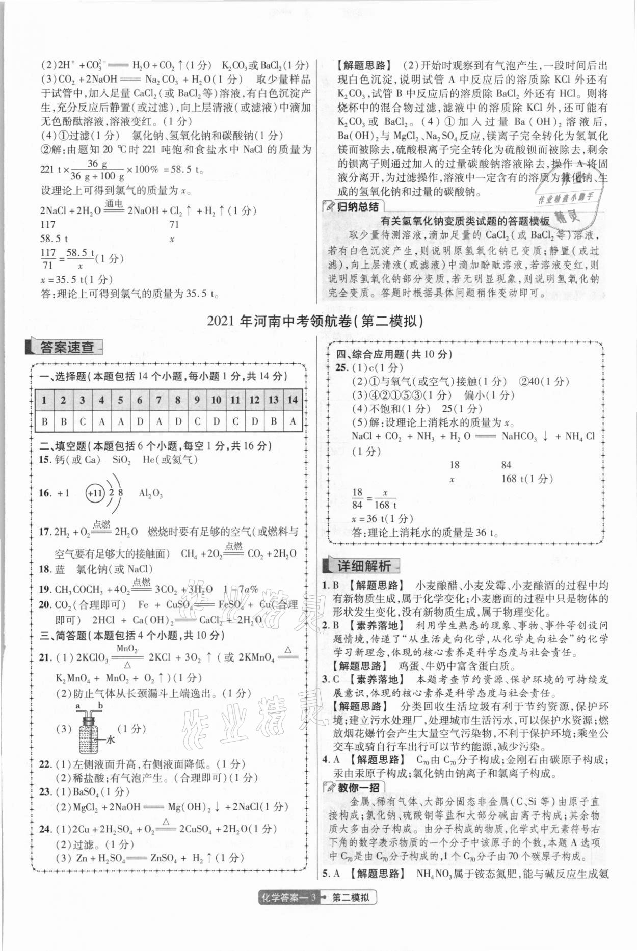 2021年金考卷百校聯(lián)盟系列中考領航卷化學河南專版 第3頁