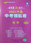 2021年金考卷百校聯(lián)盟系列中考領(lǐng)航卷化學(xué)河南專版