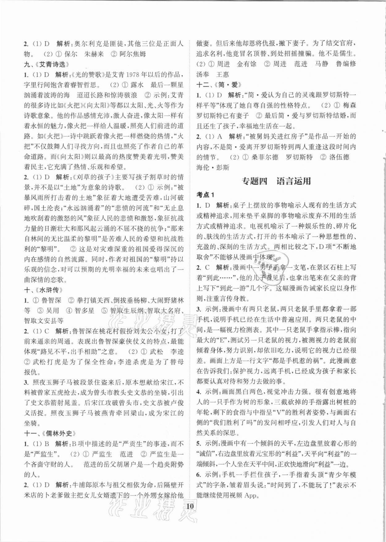 2021年通城学典通城1典中考复习方略语文苏州专用 第10页