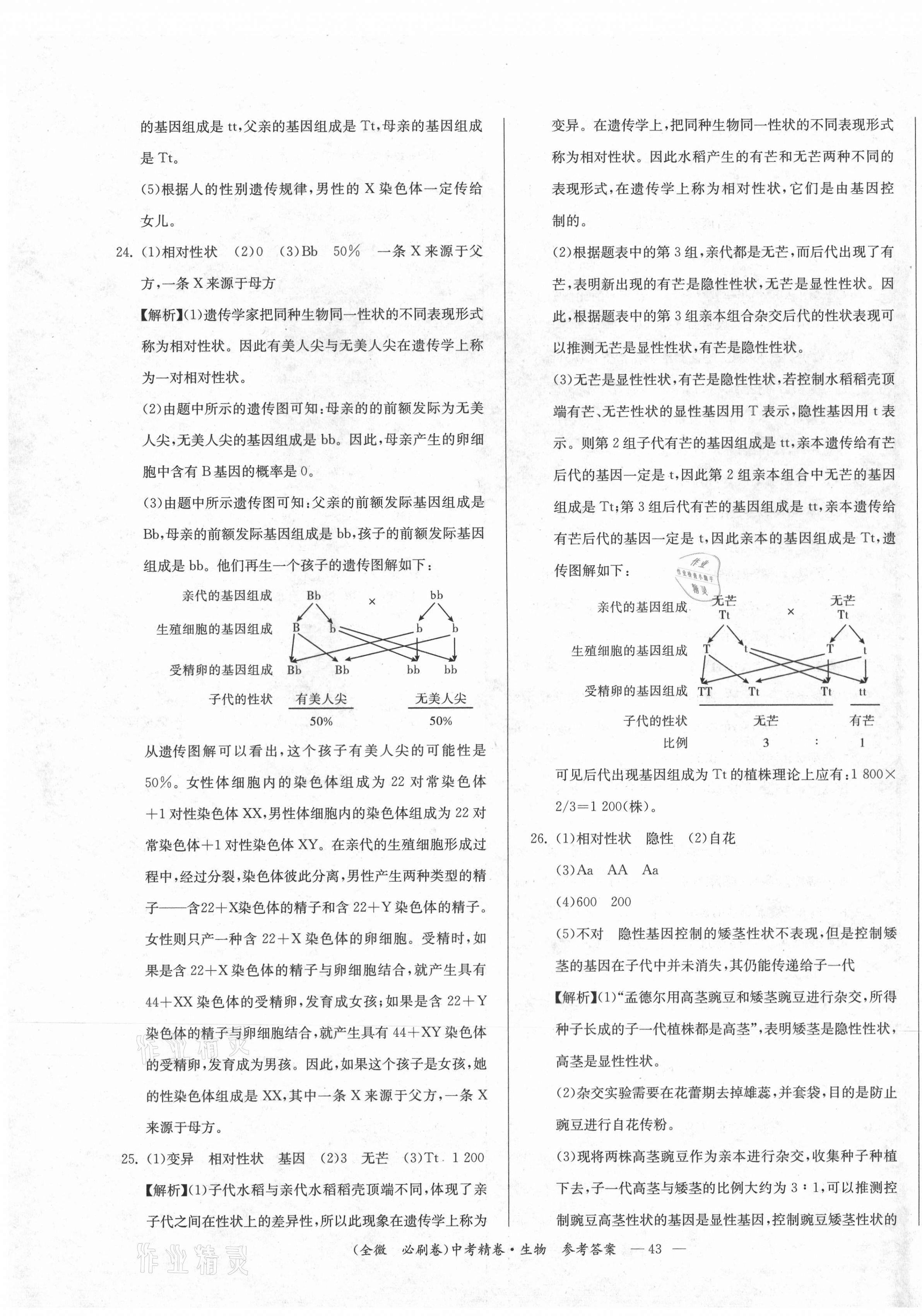 2021年全微必刷卷生物&nbsp;第11页