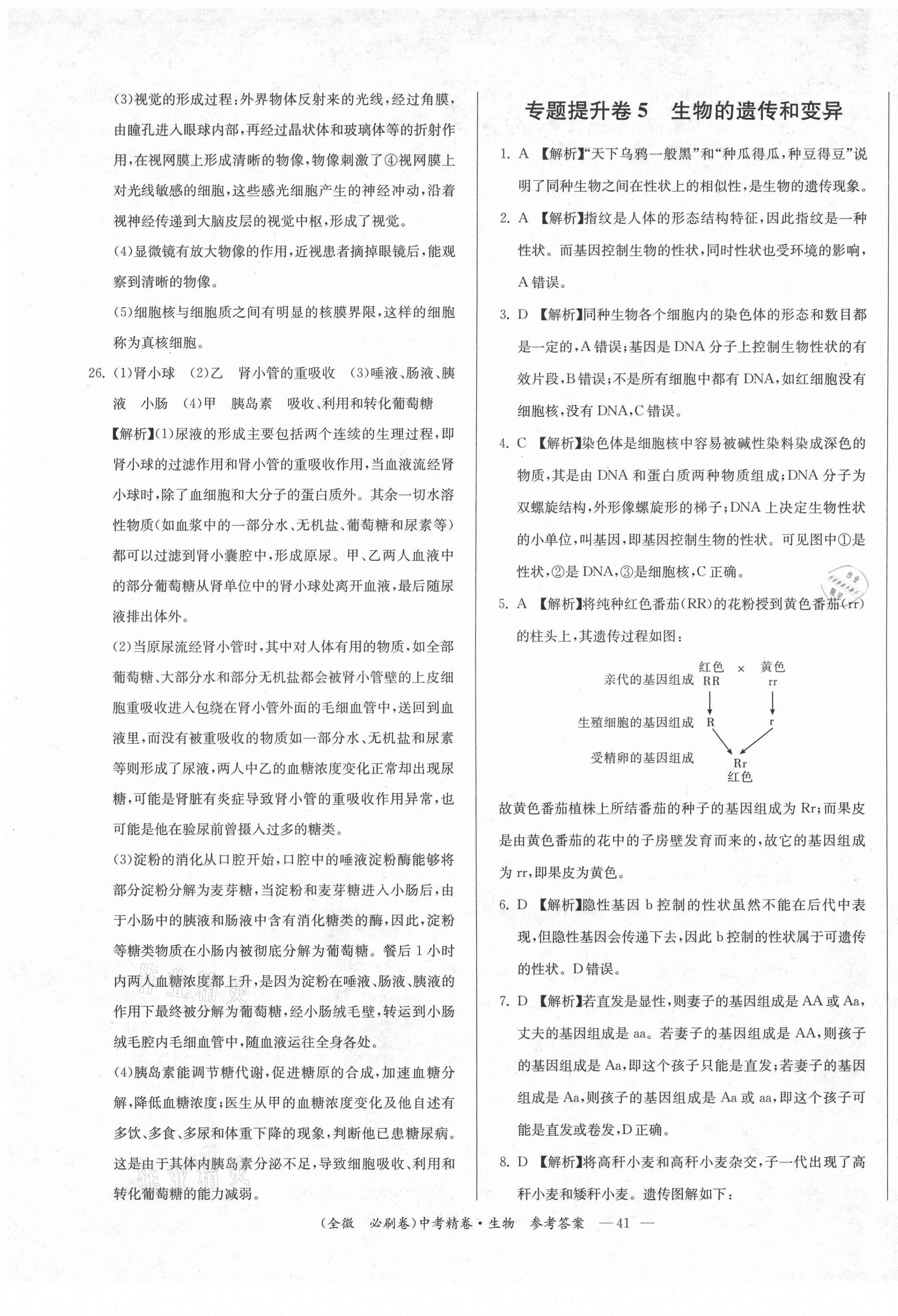 2021年全微必刷卷生物&nbsp;第9页