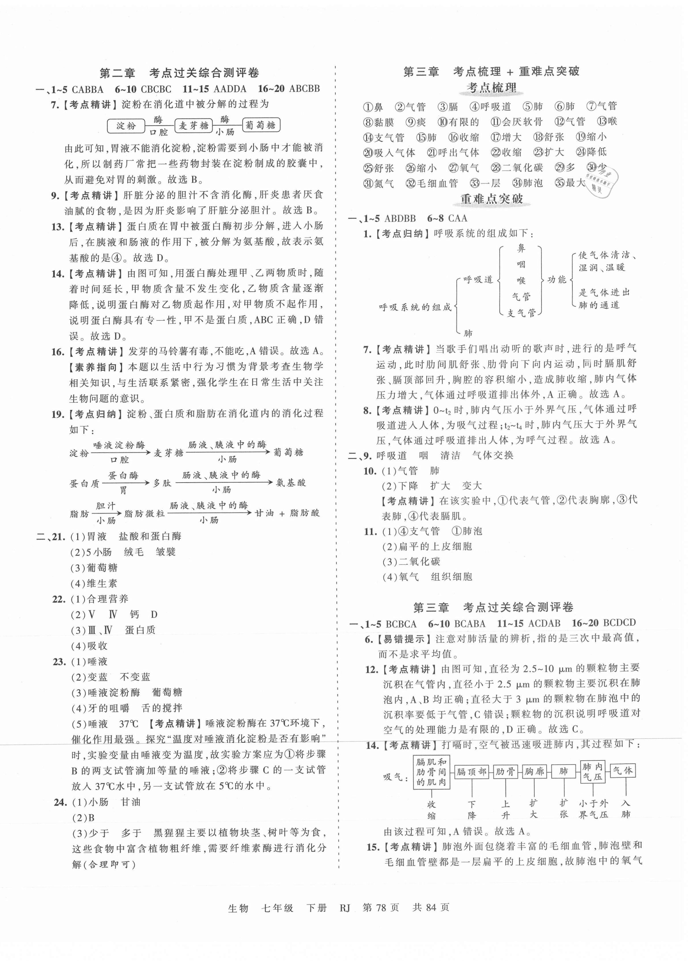 2021年王朝霞考點(diǎn)梳理時習(xí)卷七年級生物下冊人教版 第2頁