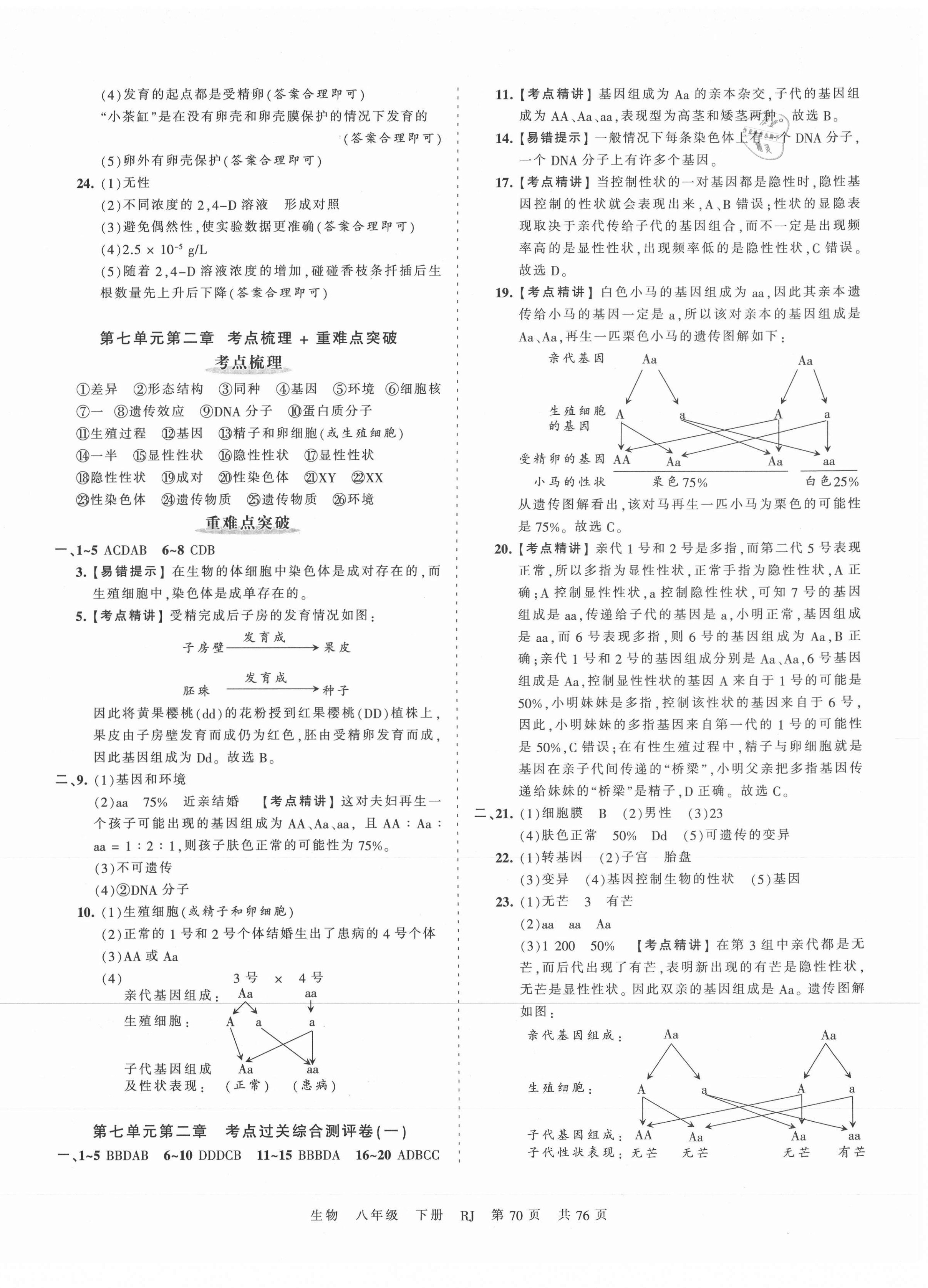 2021年王朝霞考點(diǎn)梳理時(shí)習(xí)卷八年級(jí)生物下冊(cè)人教版 第2頁(yè)