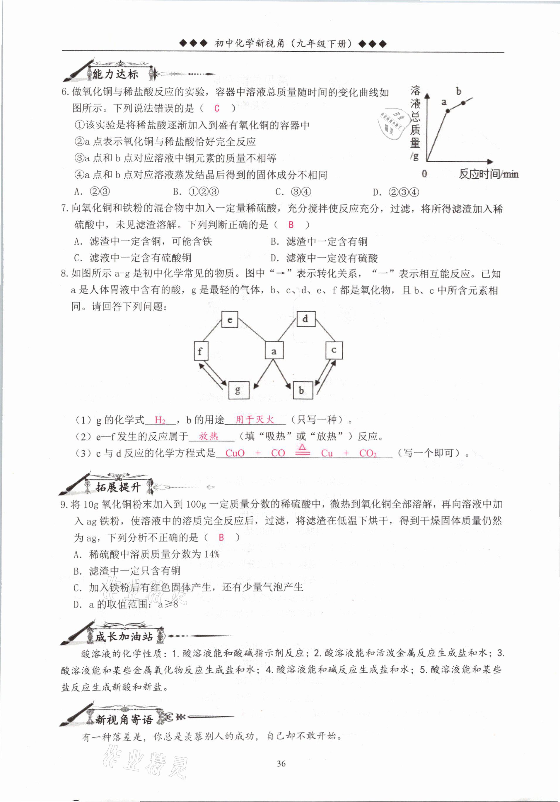 2021年新视角教辅系列丛书九年级化学下册人教版 参考答案第36页