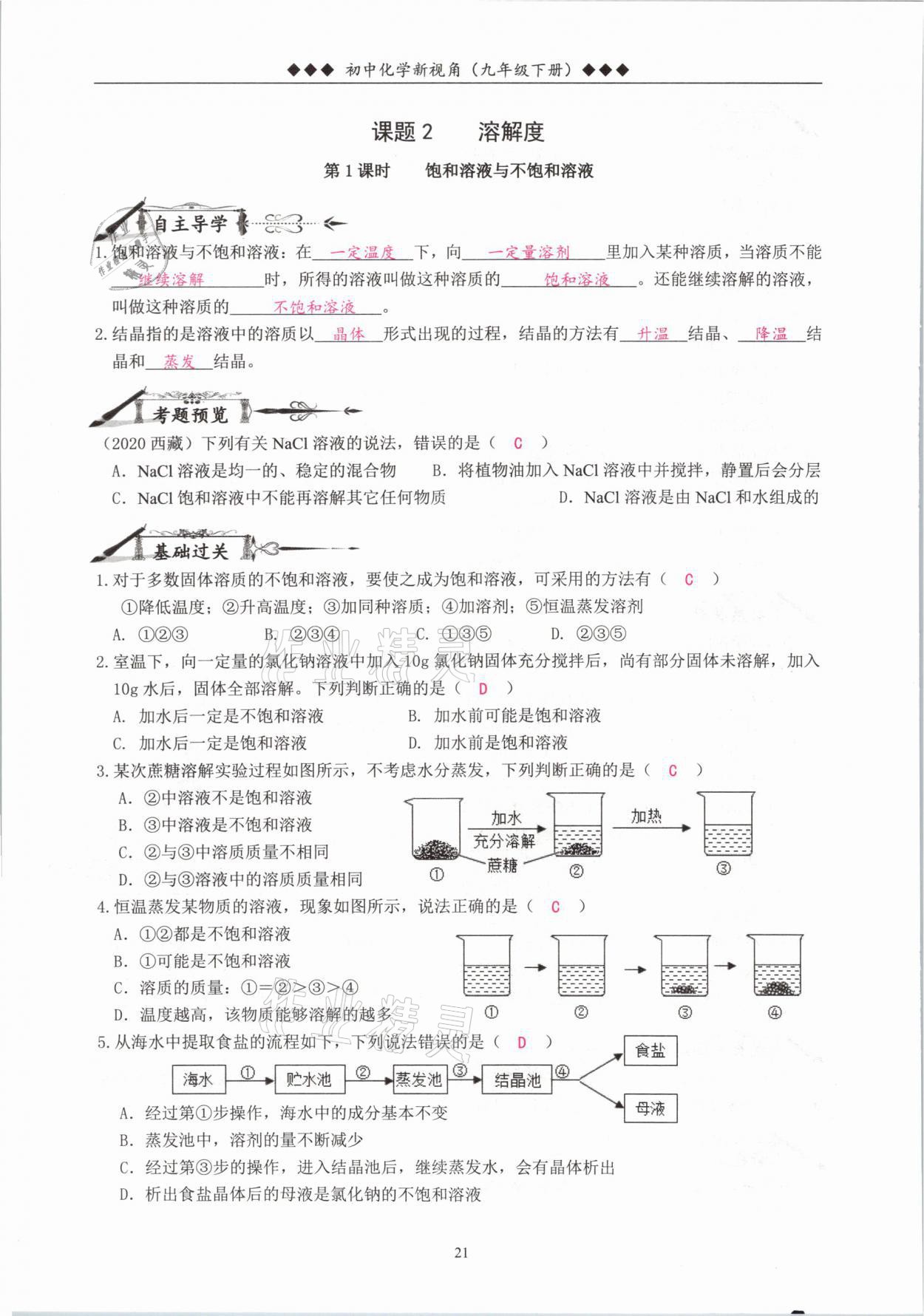 2021年新视角教辅系列丛书九年级化学下册人教版 参考答案第21页