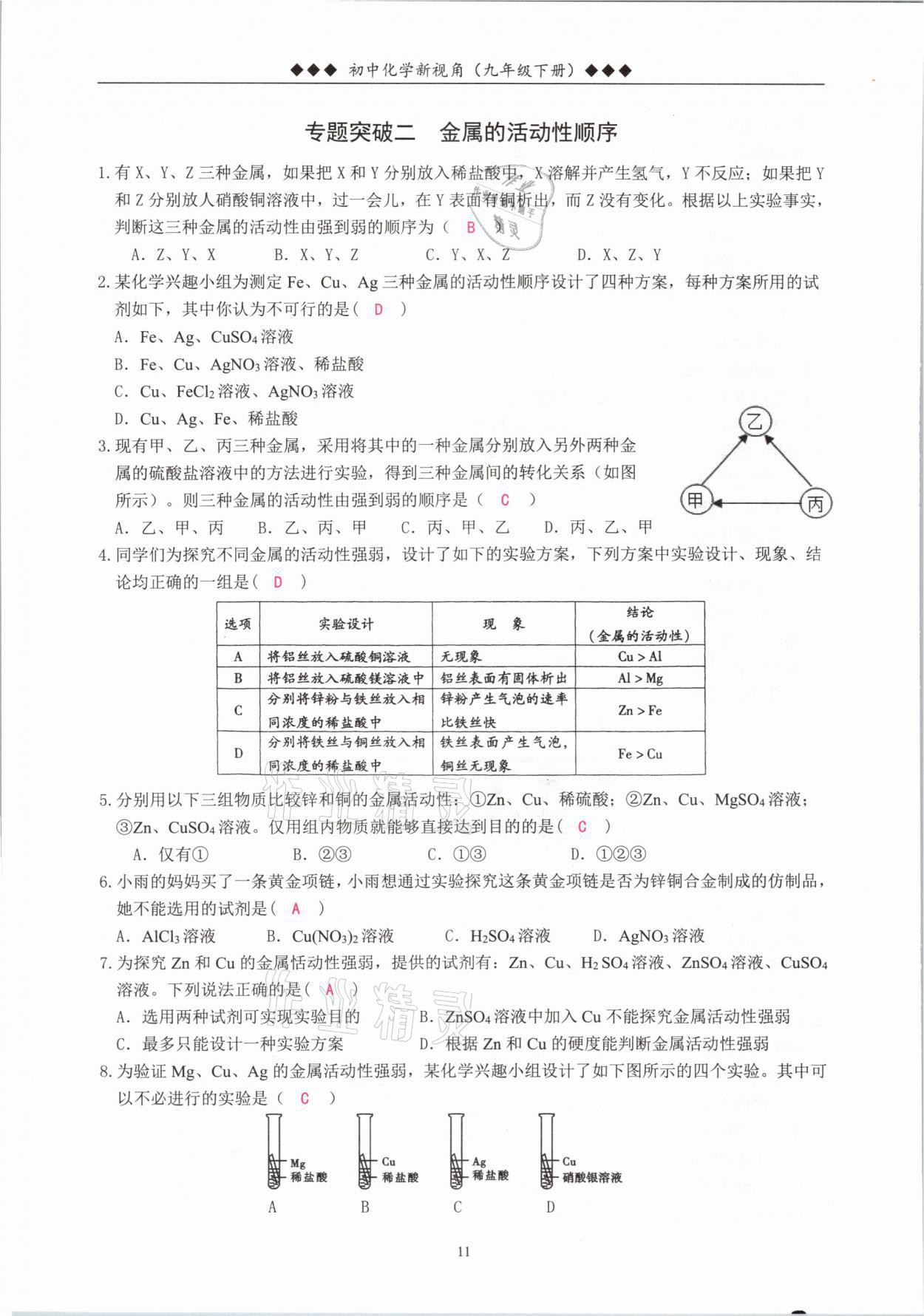 2021年新視角教輔系列叢書九年級化學(xué)下冊人教版 參考答案第11頁