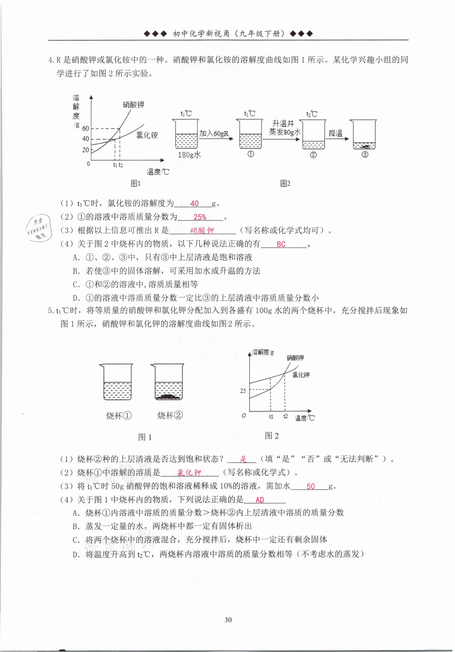 2021年新視角教輔系列叢書九年級化學下冊人教版 參考答案第30頁