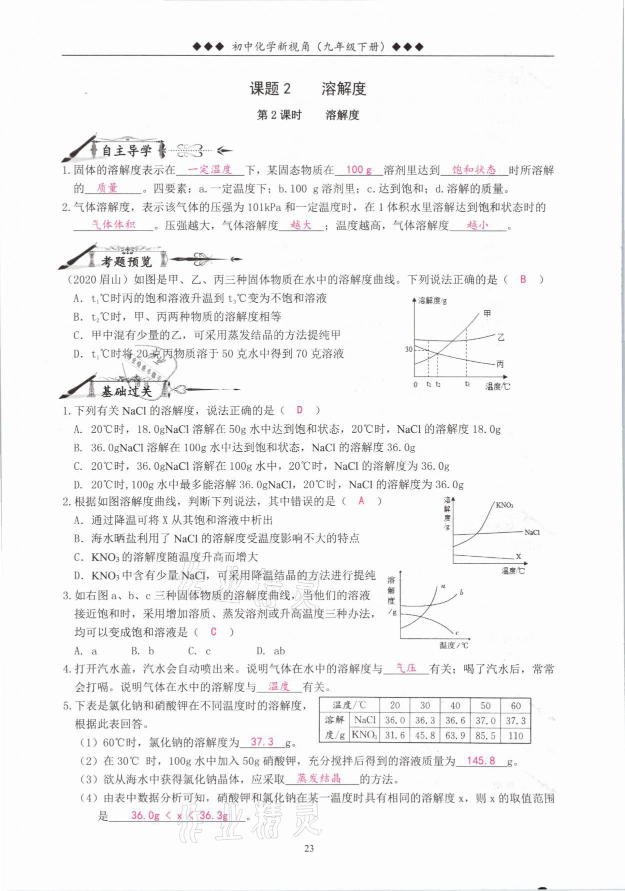 2021年新視角教輔系列叢書九年級化學(xué)下冊人教版 參考答案第23頁