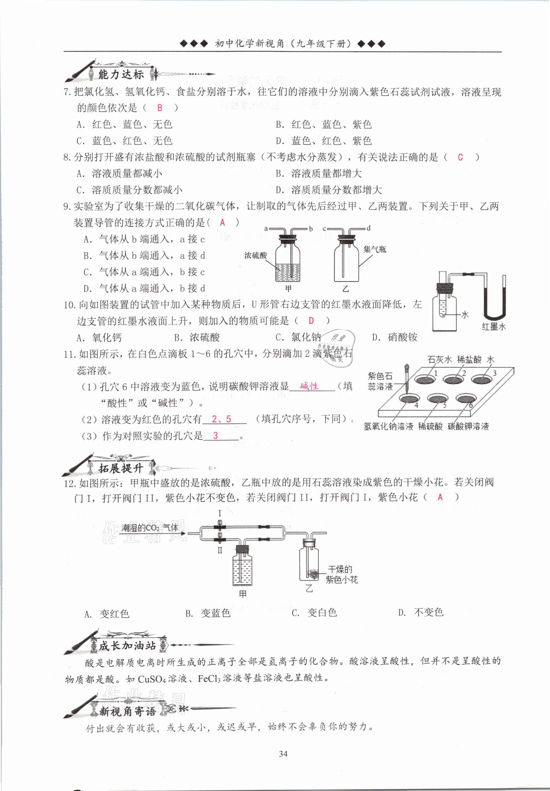 2021年新视角教辅系列丛书九年级化学下册人教版 参考答案第34页